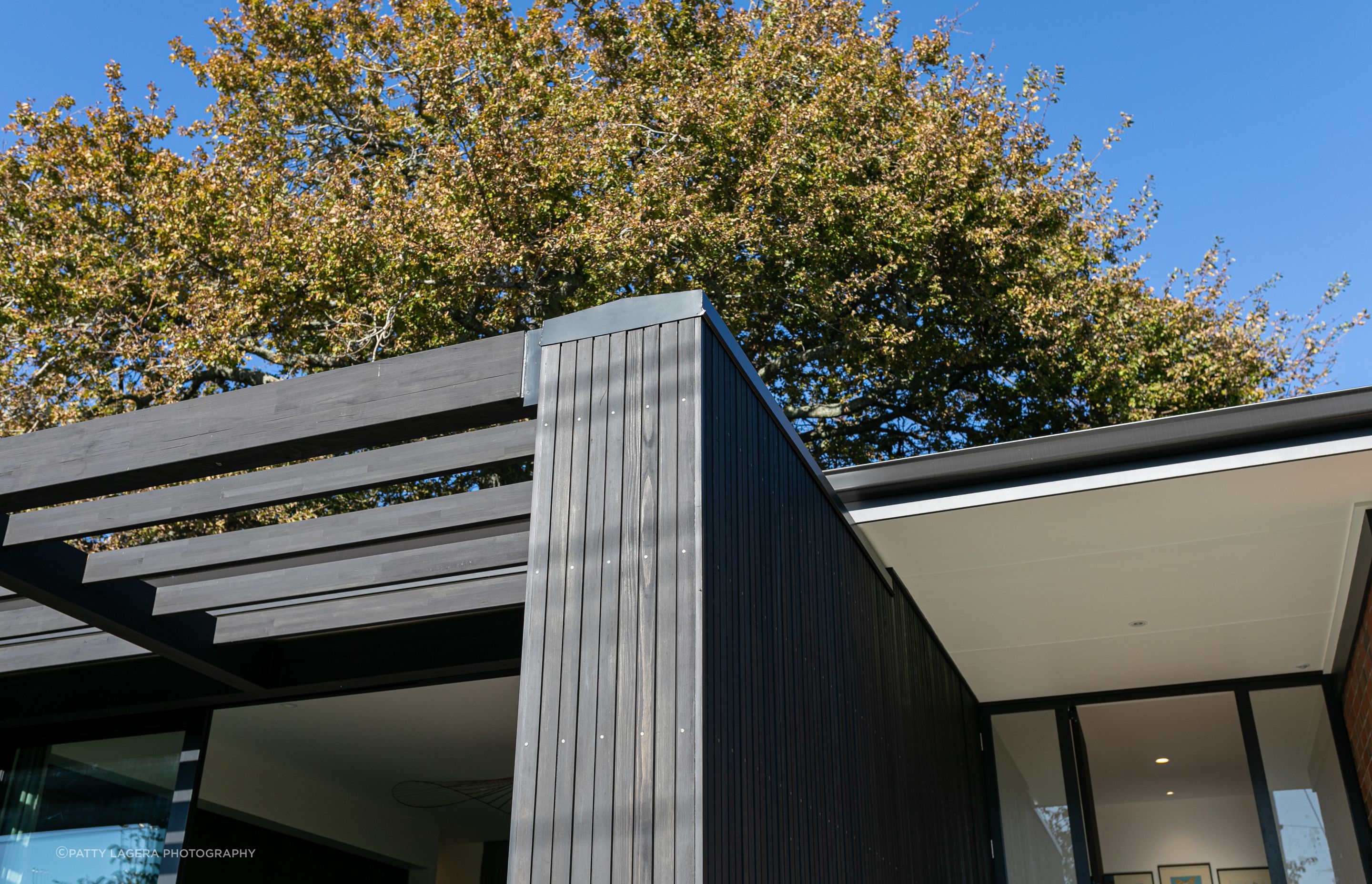 The 60sqm extension features dark vertical cedar cladding.