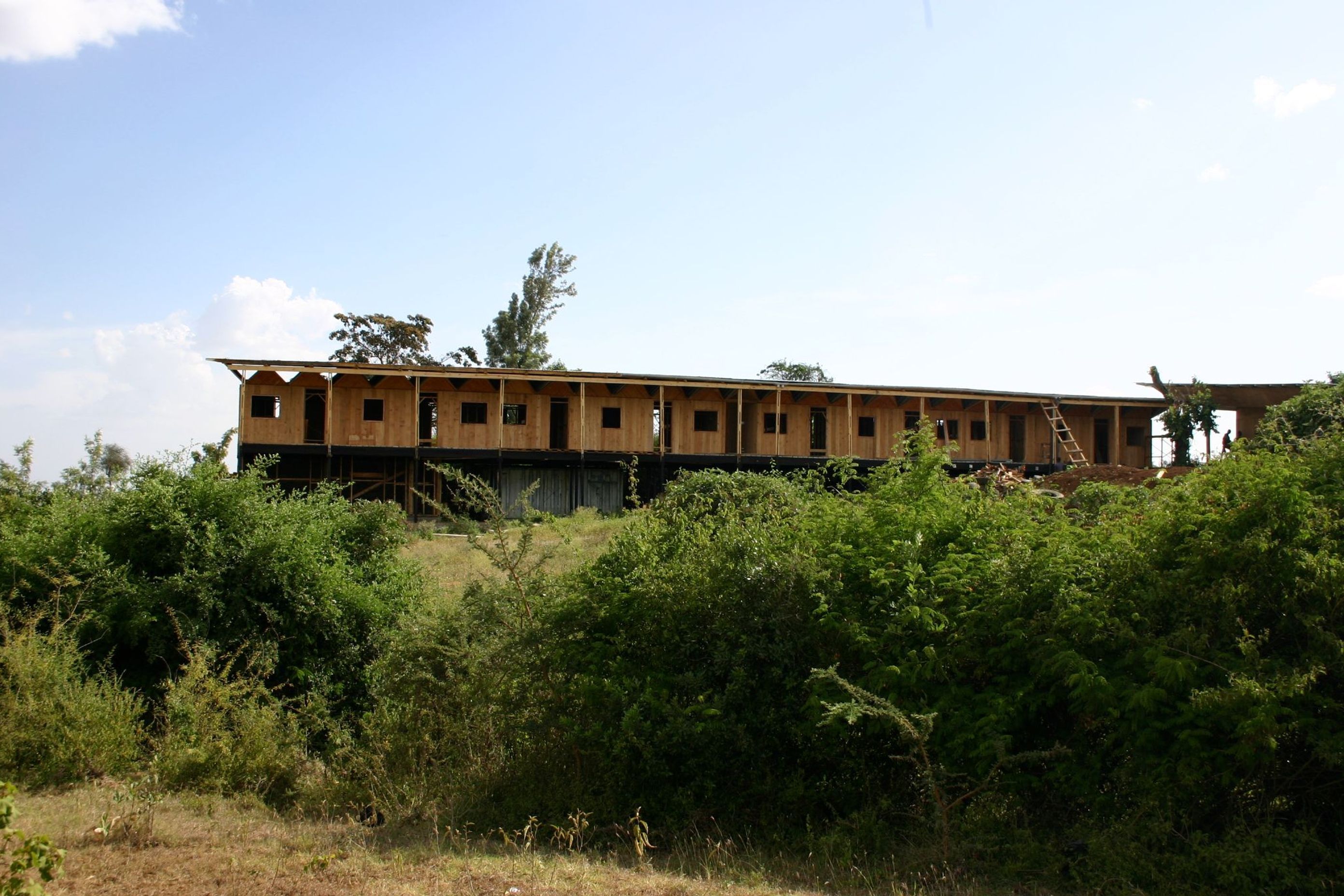 Kesho Leo