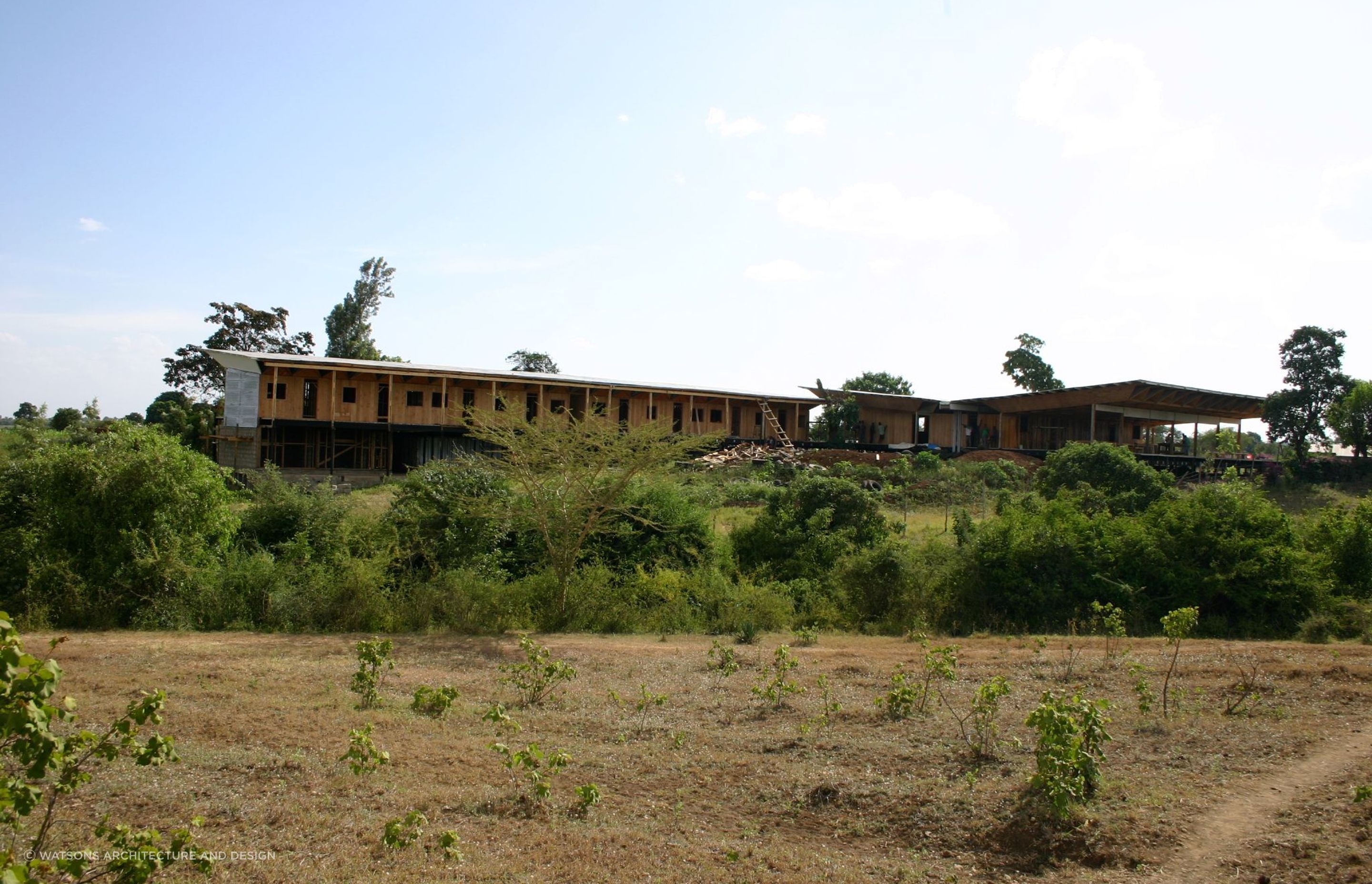 Kesho Leo