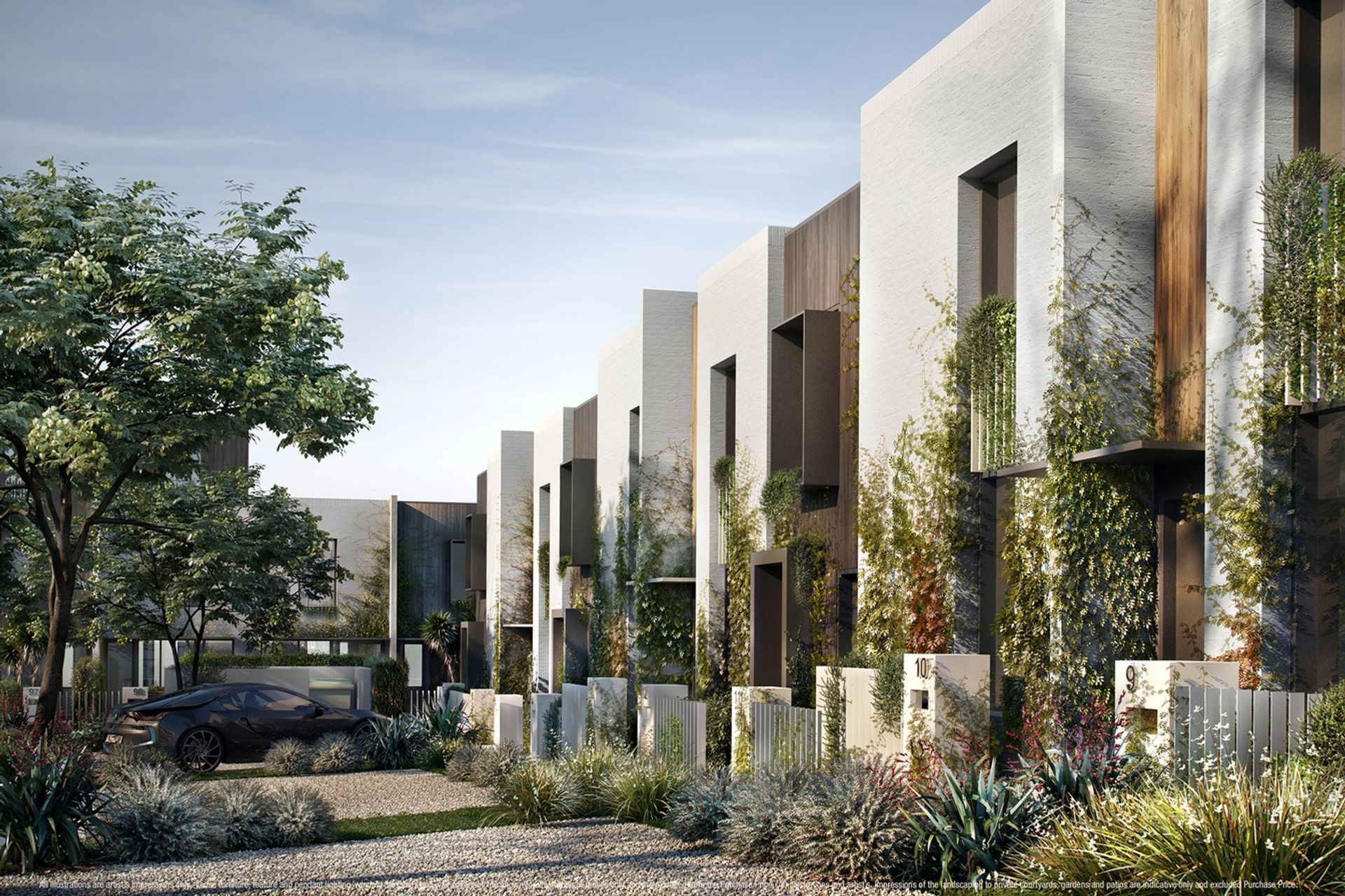 Grey Lynn Terrace Houses