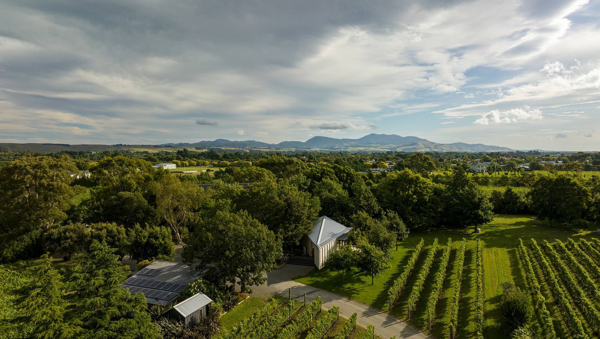 Ata Rangi Tasting Room banner