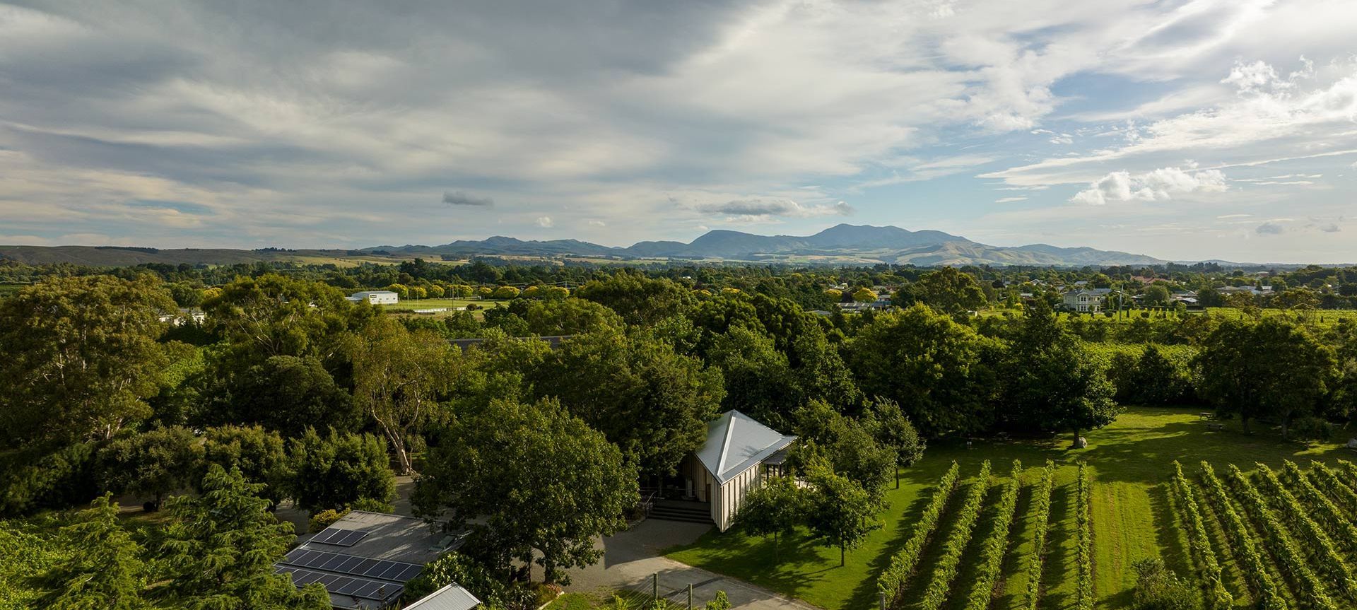 Ata Rangi Tasting Room banner
