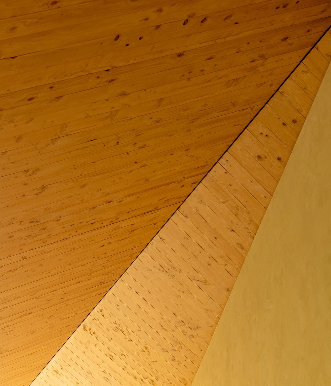 11AtaRangiTastingRoomMakers-of-Architecture.jpg