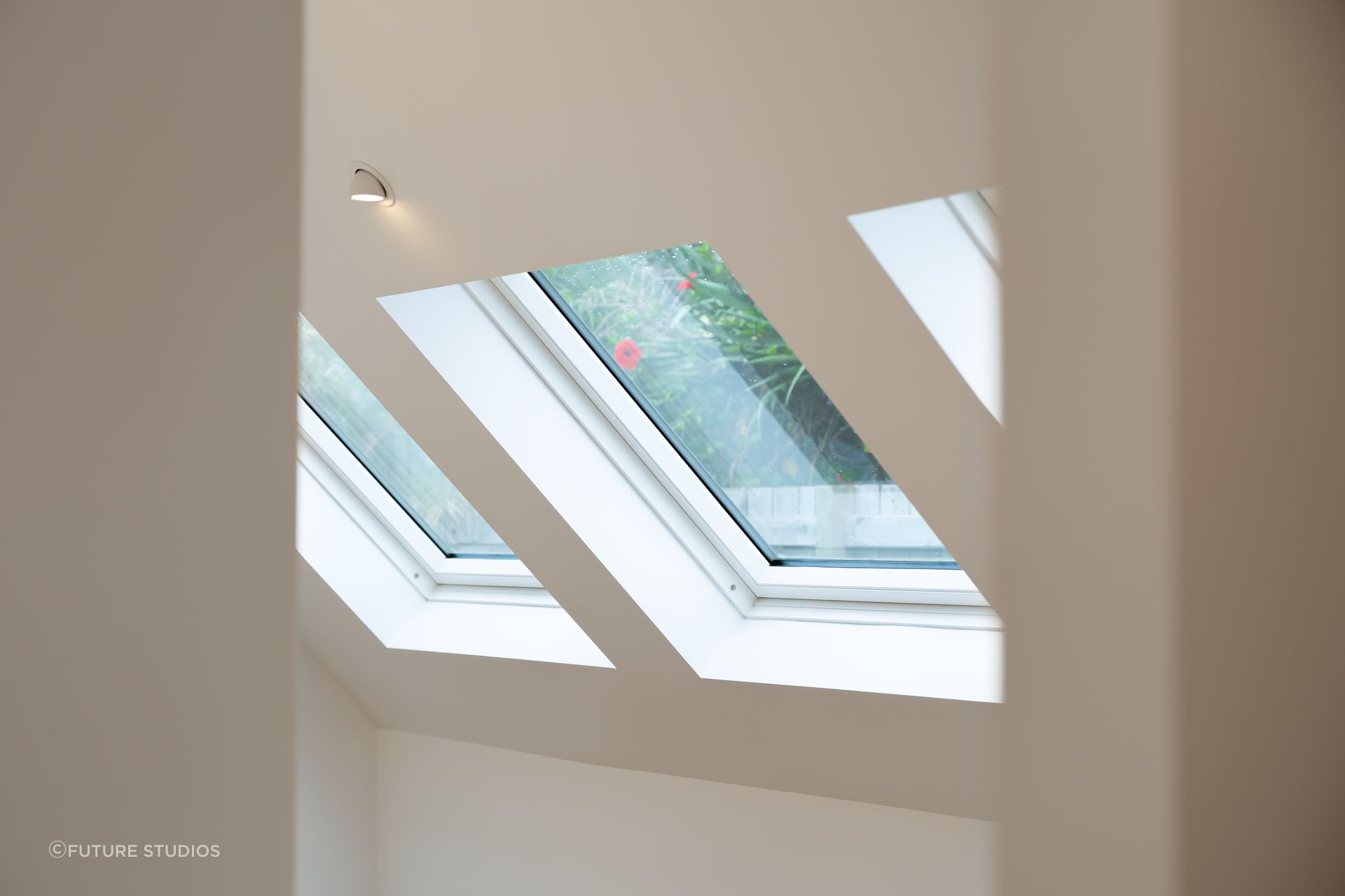 DSC05313-v2.png