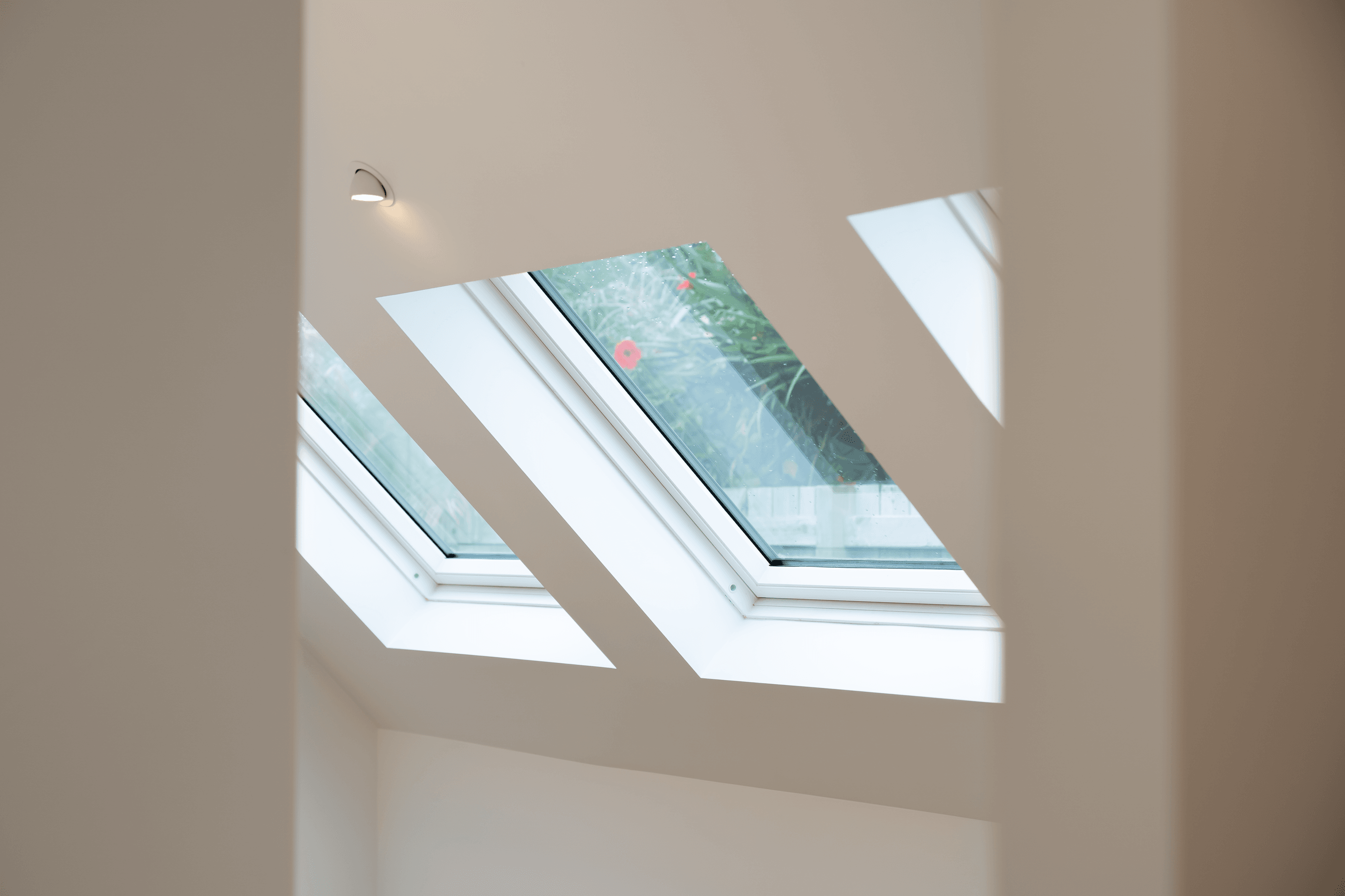 DSC05313-v2.png