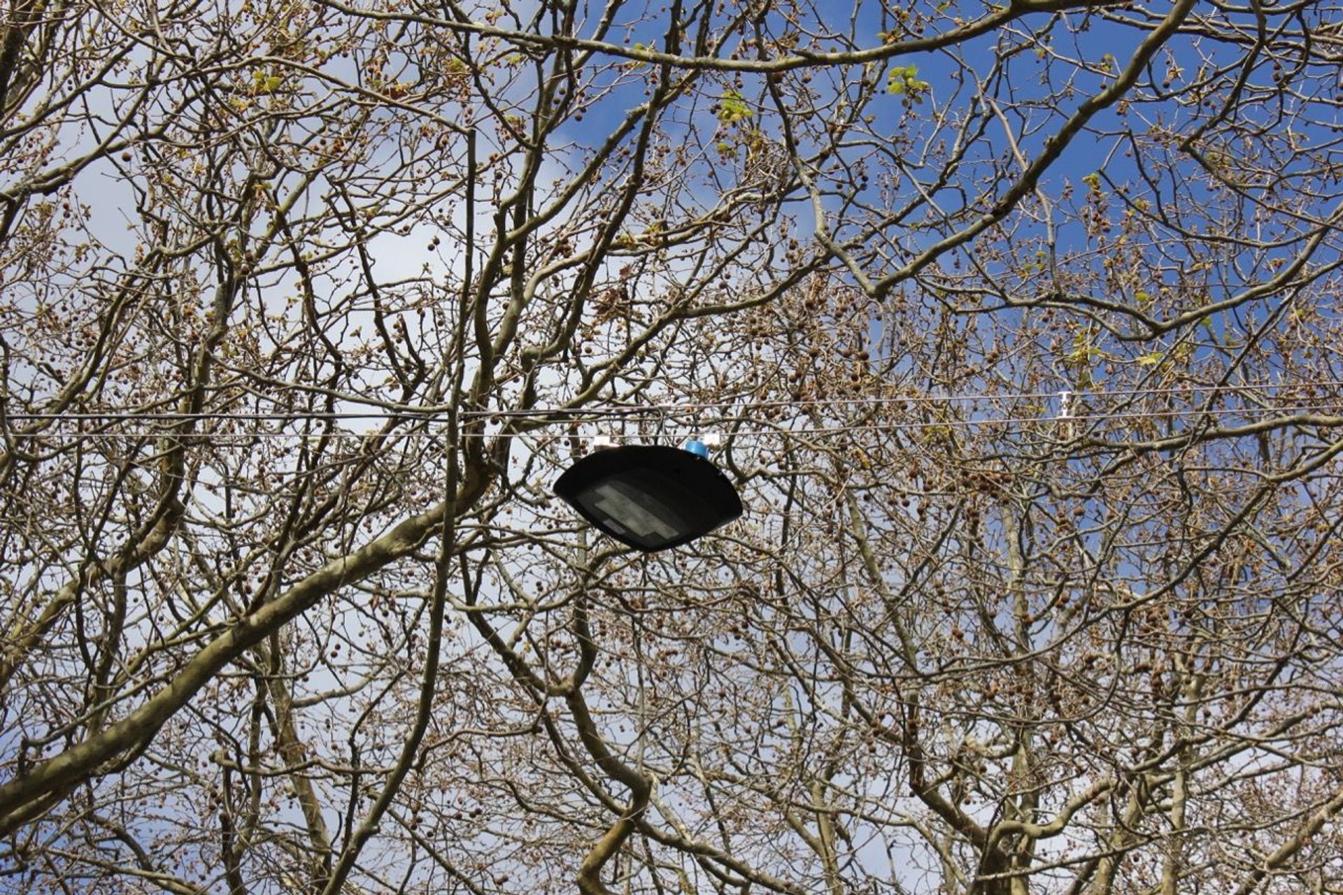 Franklin Road wire catenary lighting