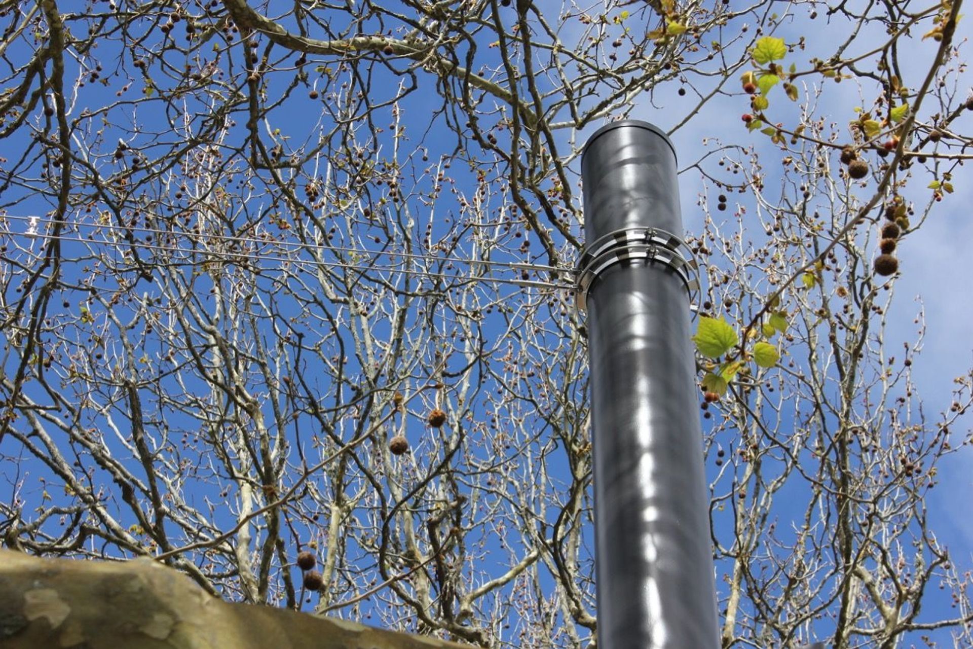 Franklin Road wire catenary lighting