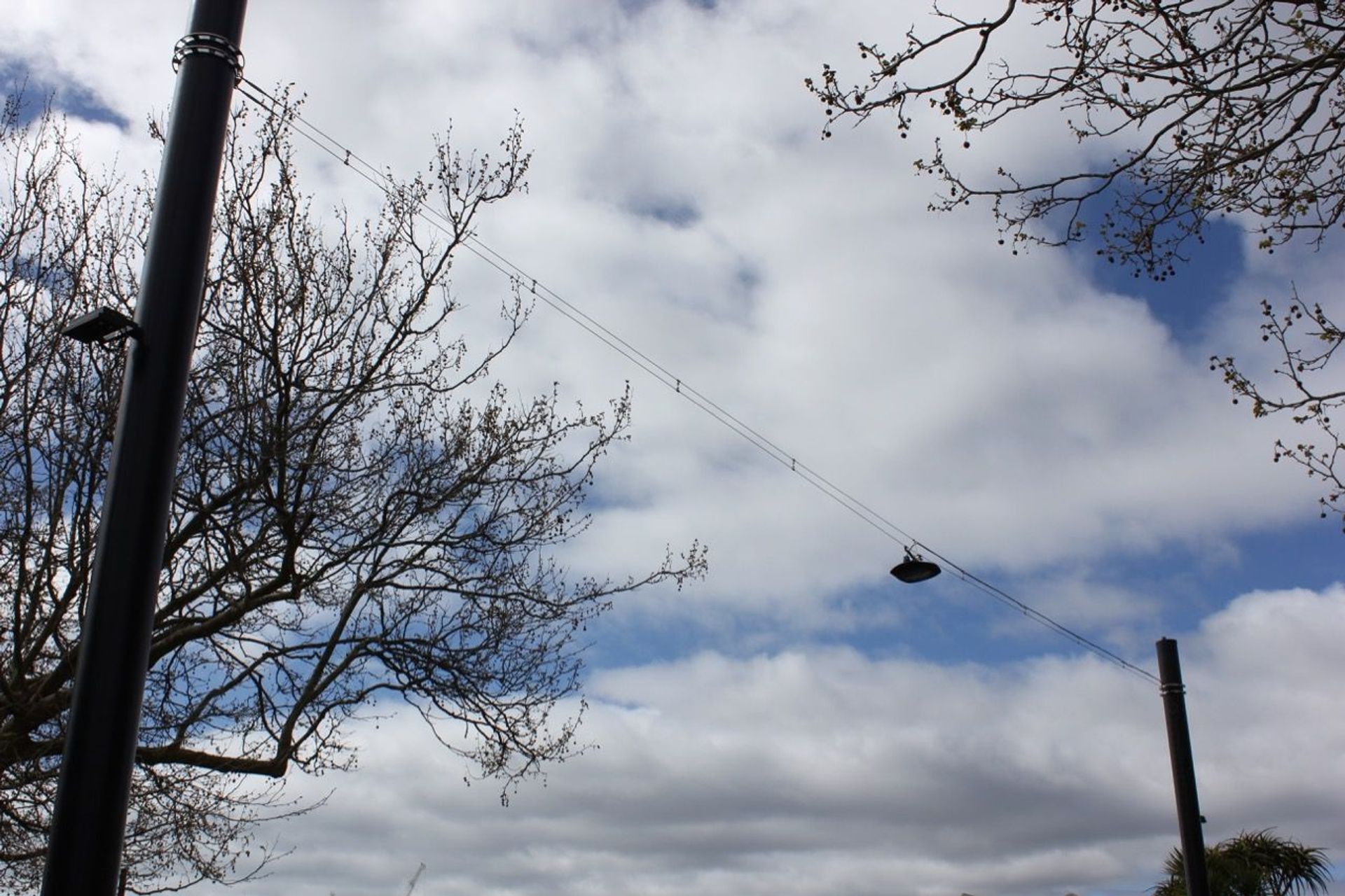 Franklin Road wire catenary lighting