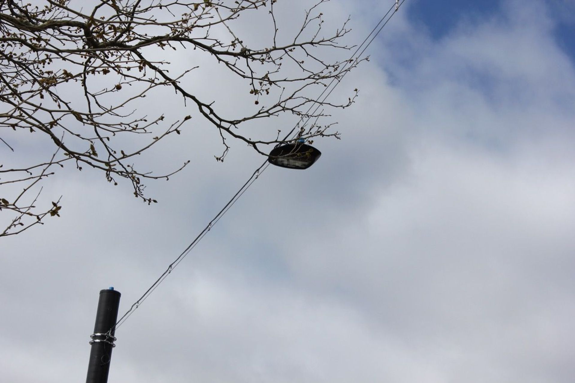 Franklin Road wire catenary lighting