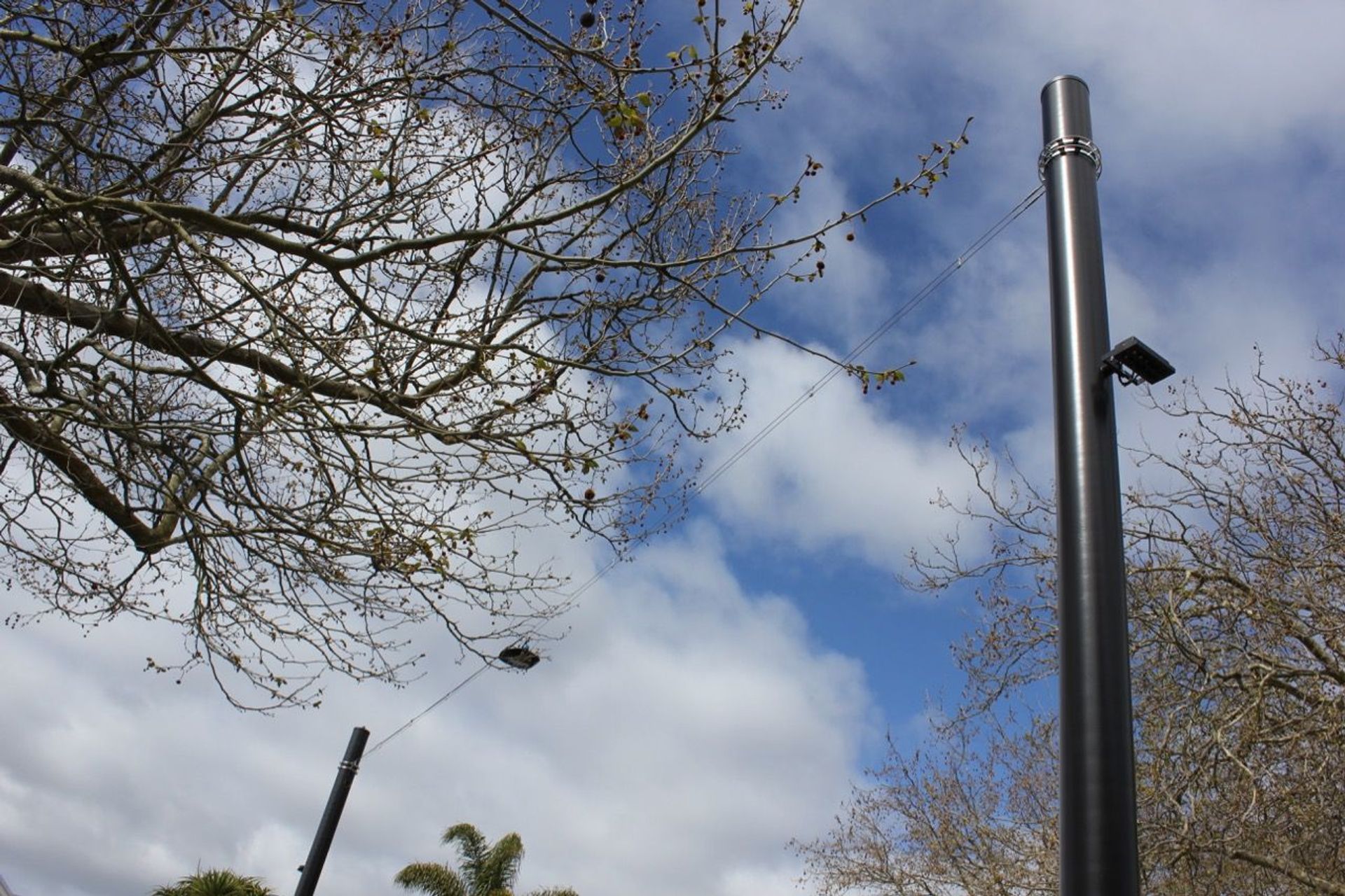 Franklin Road wire catenary lighting