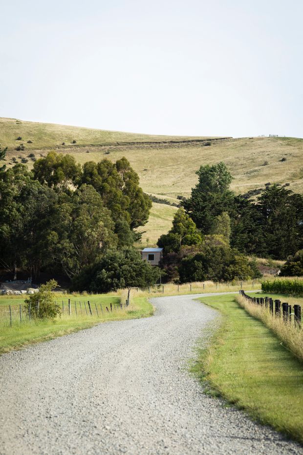 A rural gravel driveway curves through fenced pasture toward a small structure partially hidden among mature trees, with broad sunlit rolling hills in the background. The scene is a bright, natural countryside landscape with no prominent architectural subject.