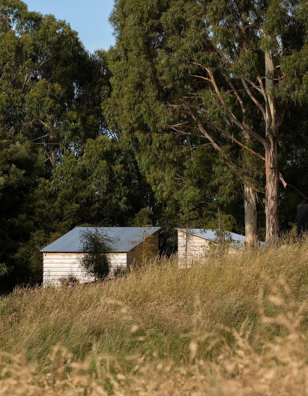 Russell’s Cabins