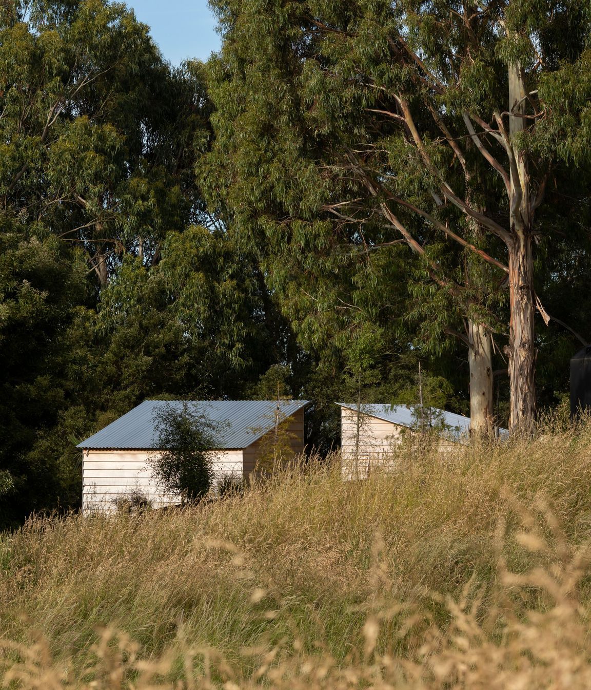 Russell’s Cabins