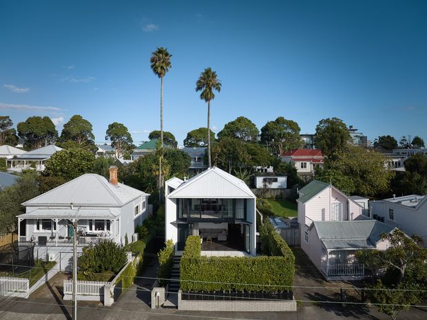Elevated exterior view across a leafy suburban neighbourhood of detached residential houses. The foreground homes feature pitched metal roofs, weatherboard-style facades, verandahs, white picket fences, manicured hedges and narrow front gardens. Tall palm trees and mature vegetation rise among the houses, with a contemporary multi-level building visible in the distance under a clear blue sky.