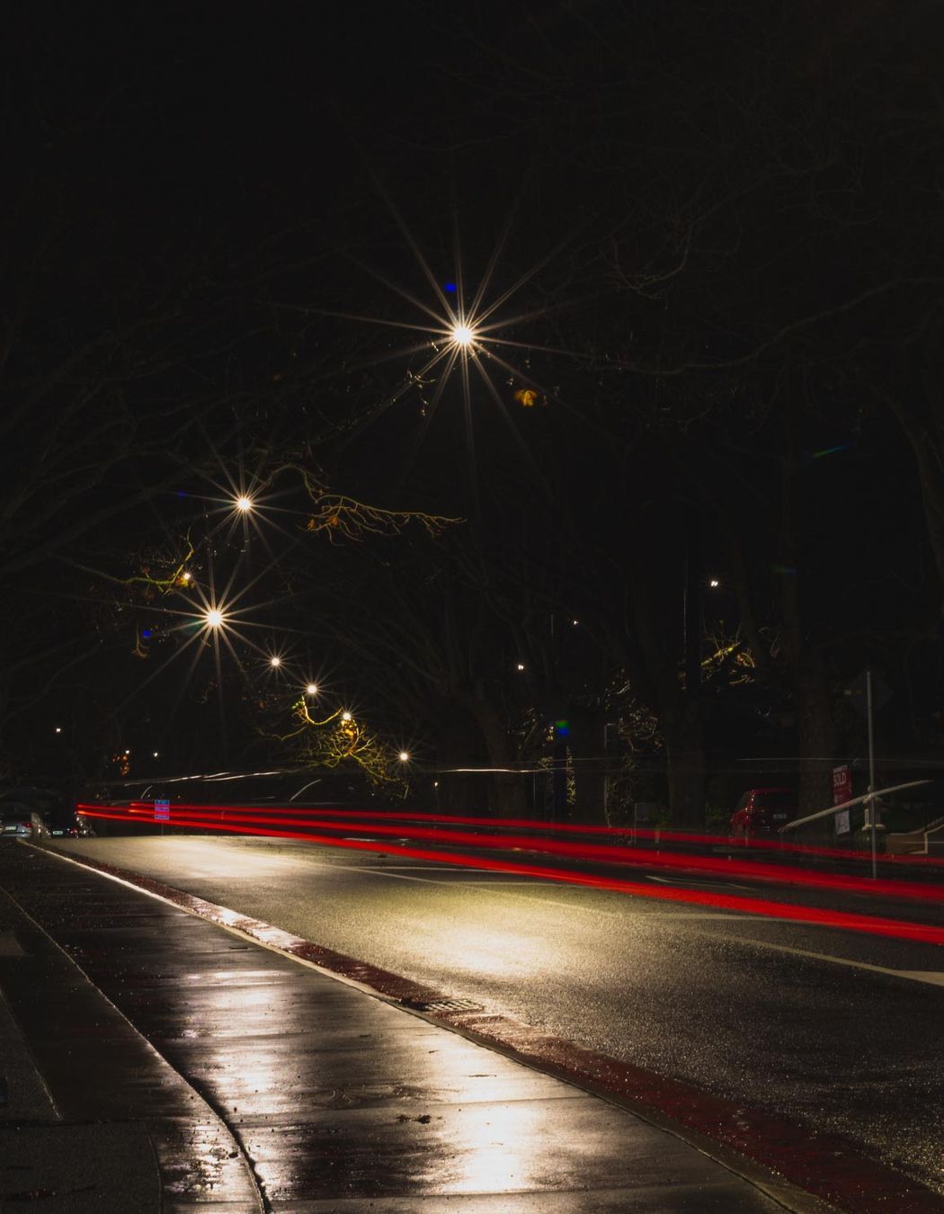 Franklin Road wire catenary lighting