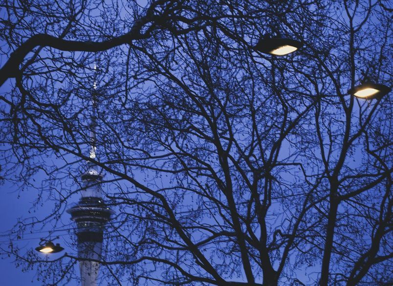 Franklin Road wire catenary lighting