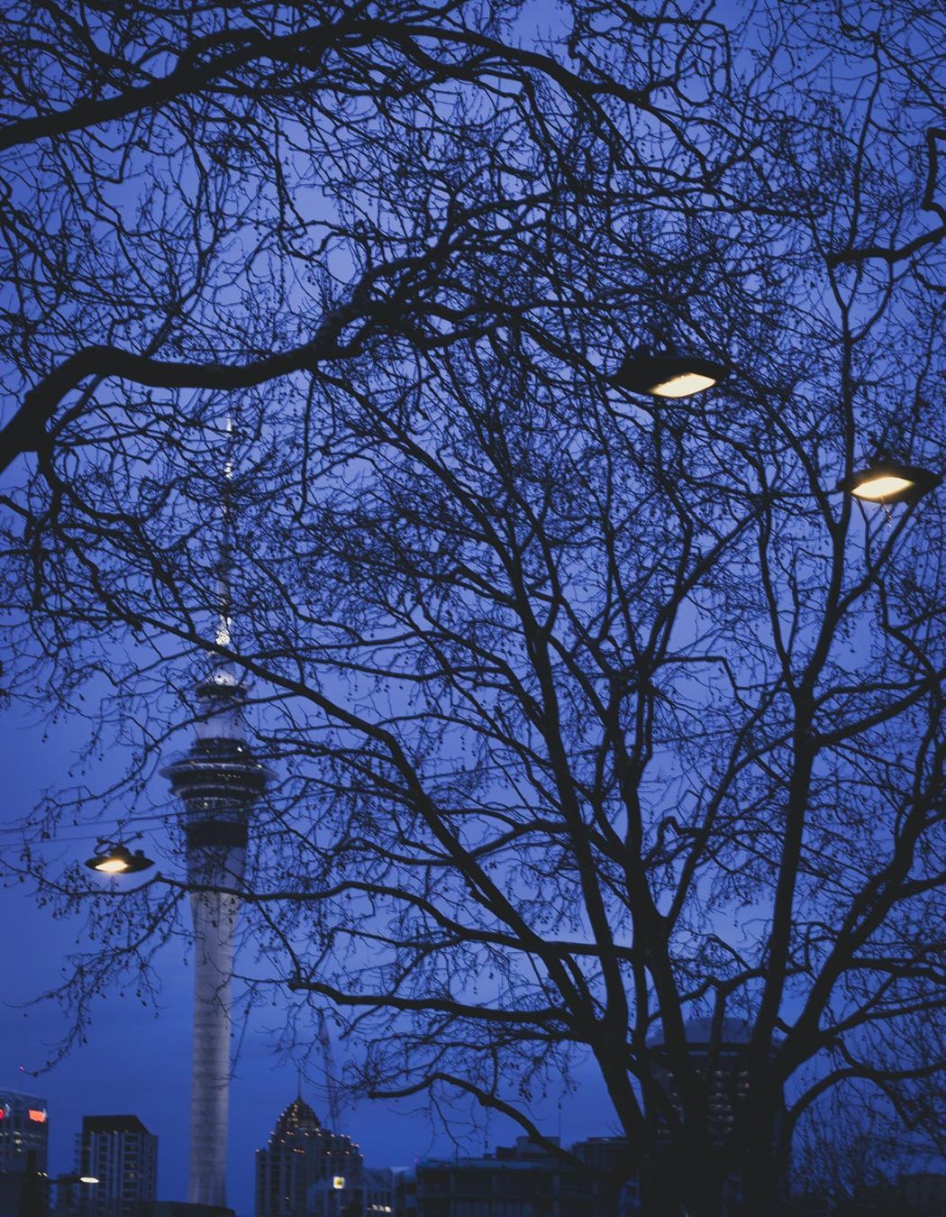 Franklin Road wire catenary lighting