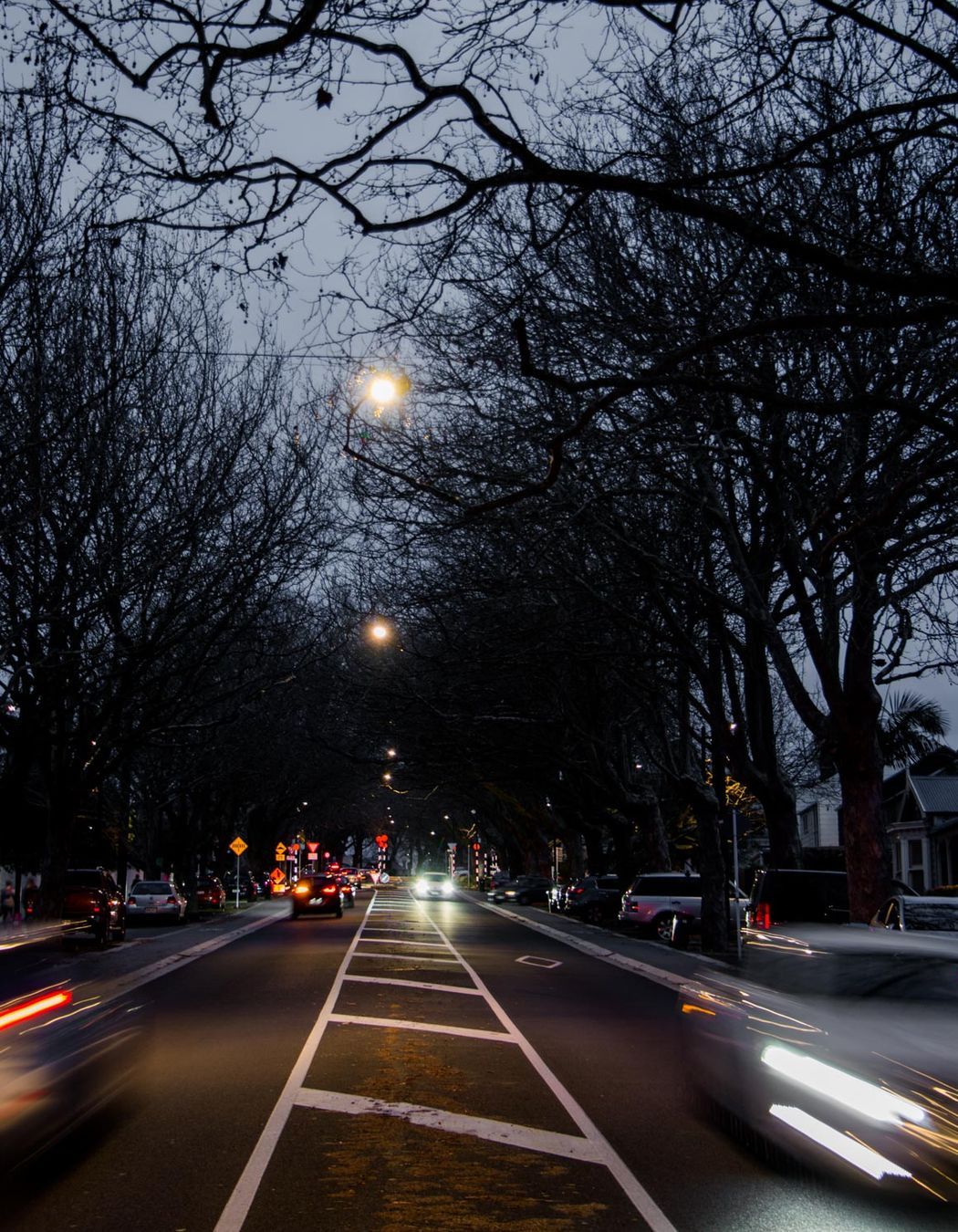 Franklin Road wire catenary lighting