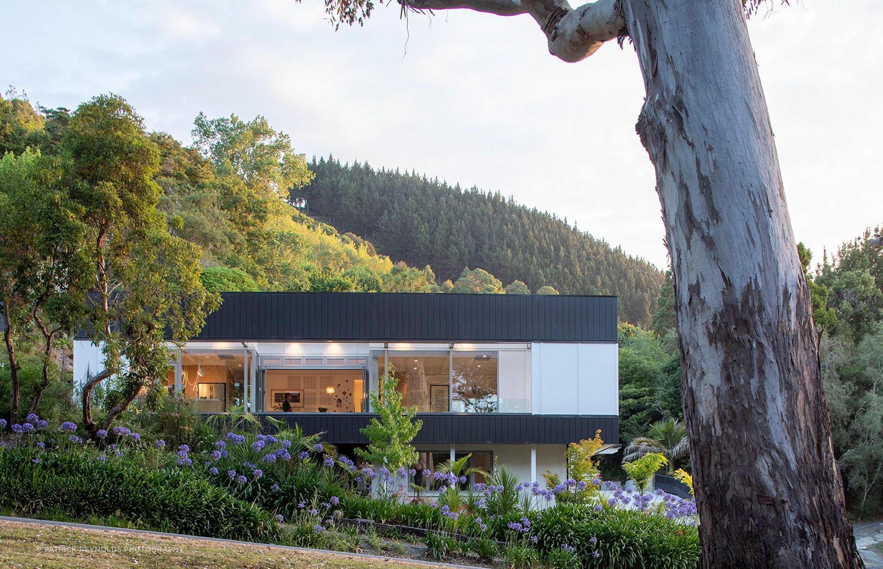 Van Diemen Street House designed by Irving Smith Architects, Nelson