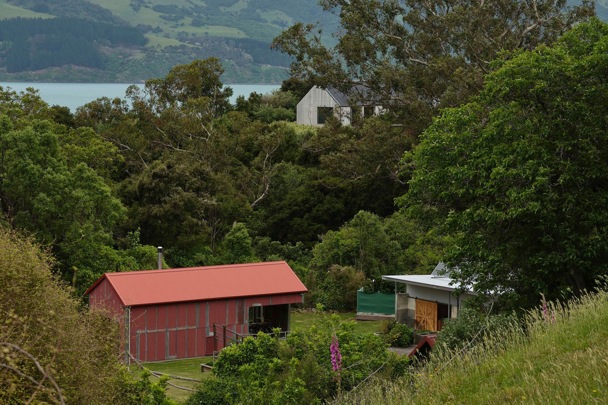 The Cowshed