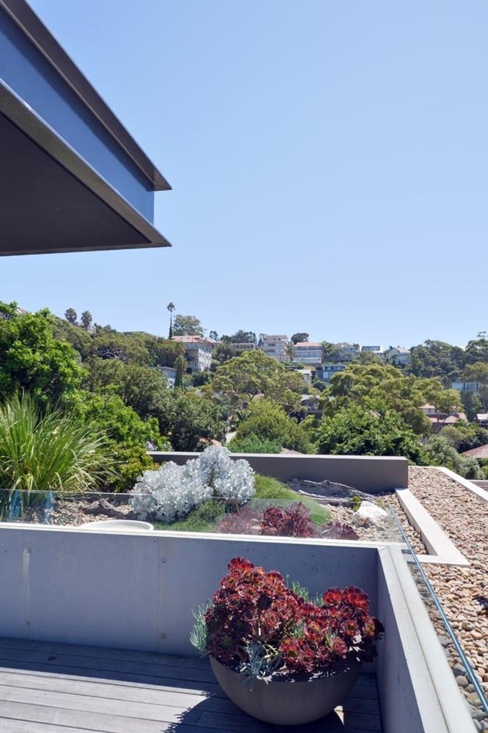 mosman05.jpg