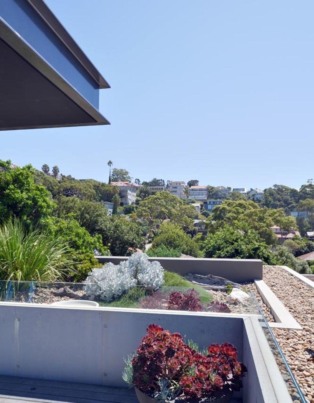 mosman05.jpg