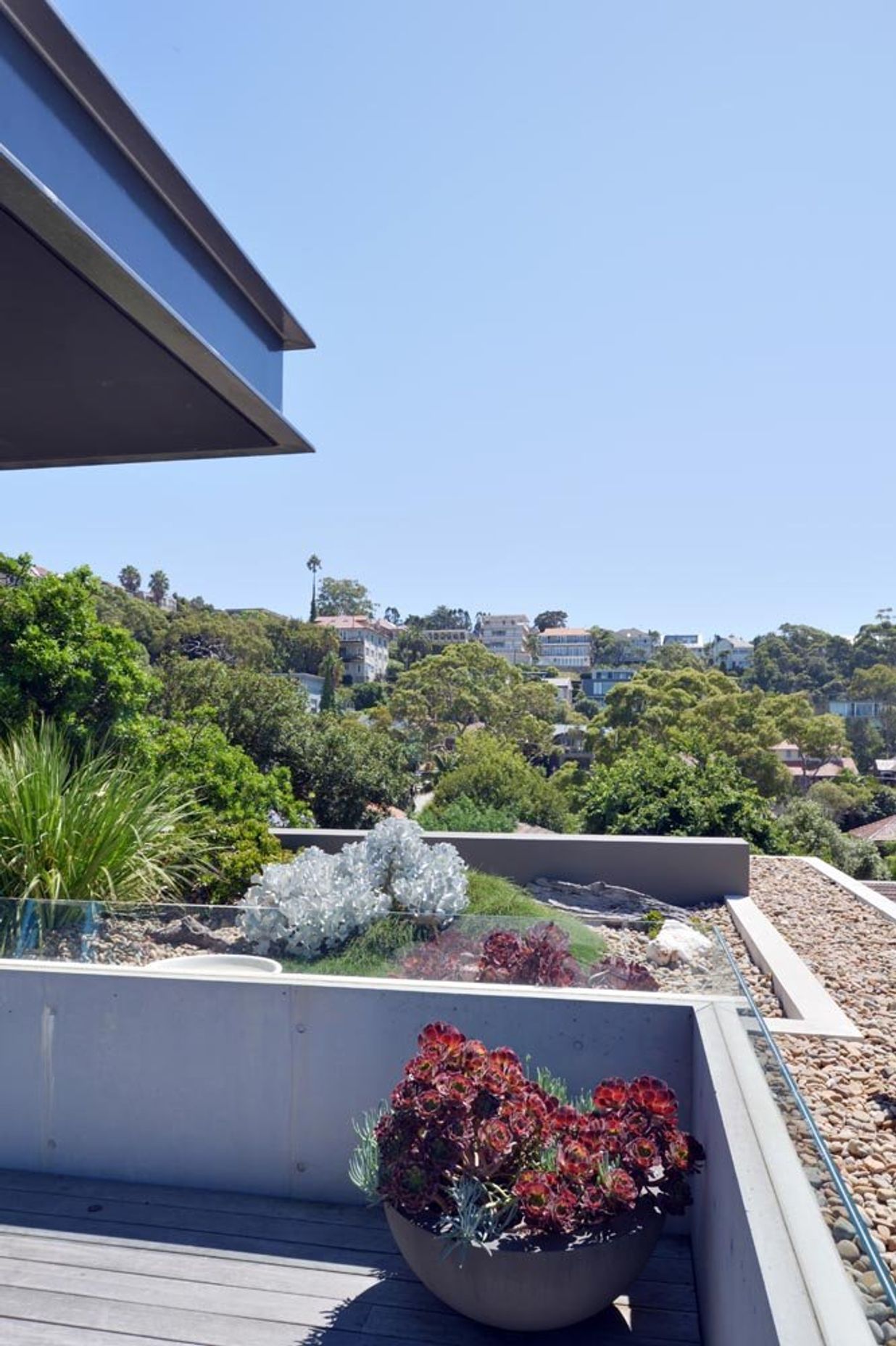 mosman05.jpg