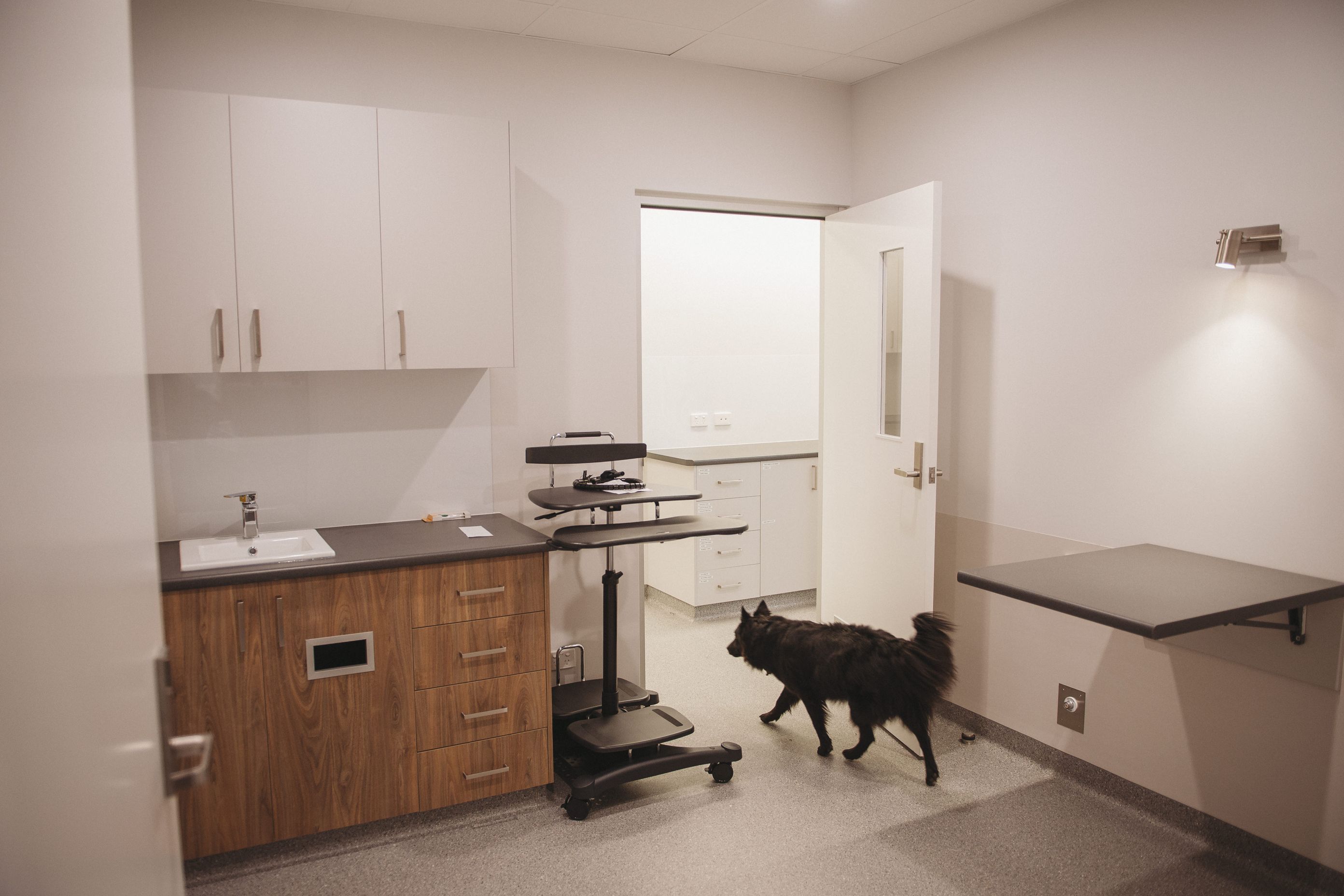 Wayville Clinic