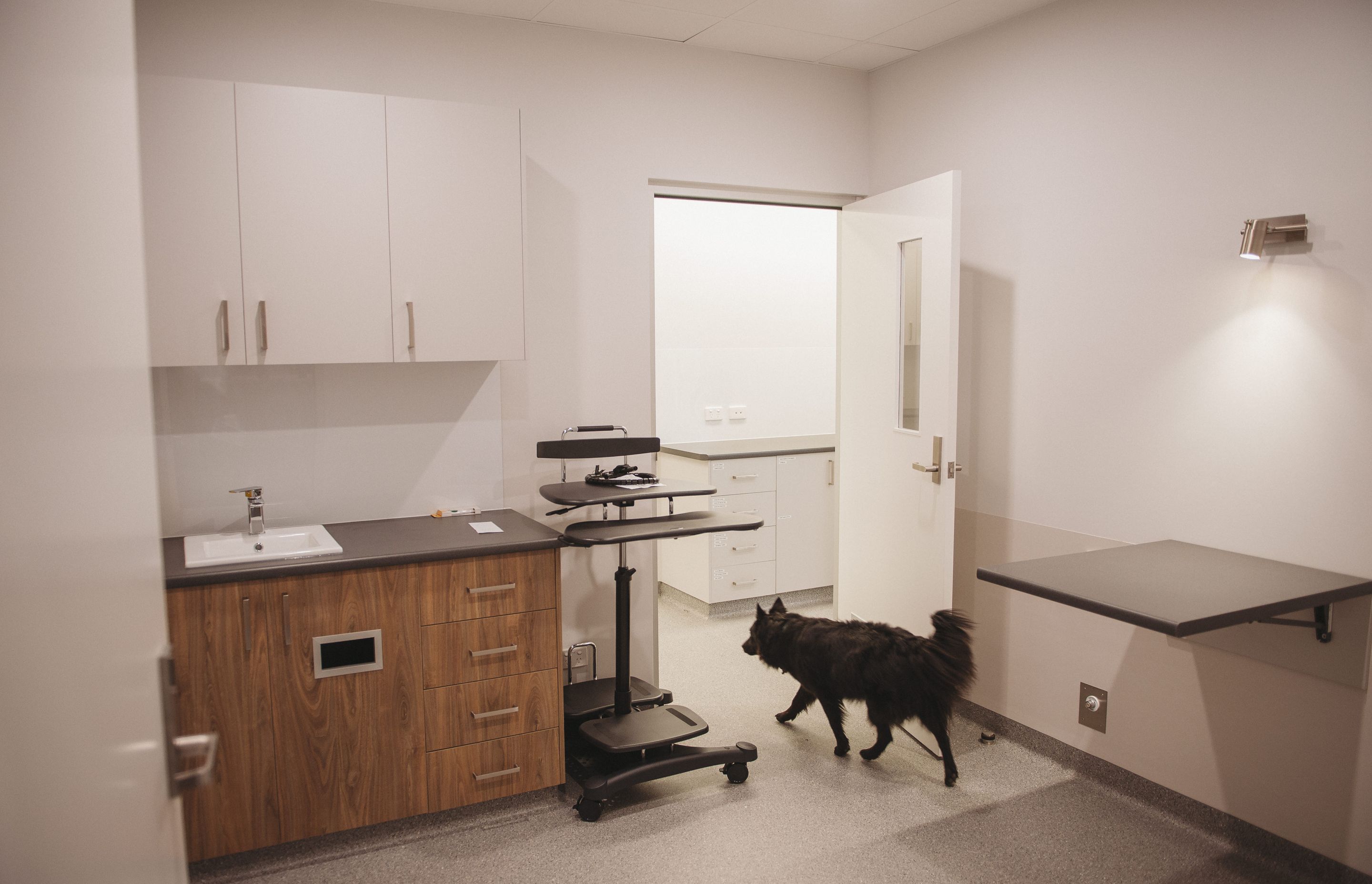 Wayville Clinic