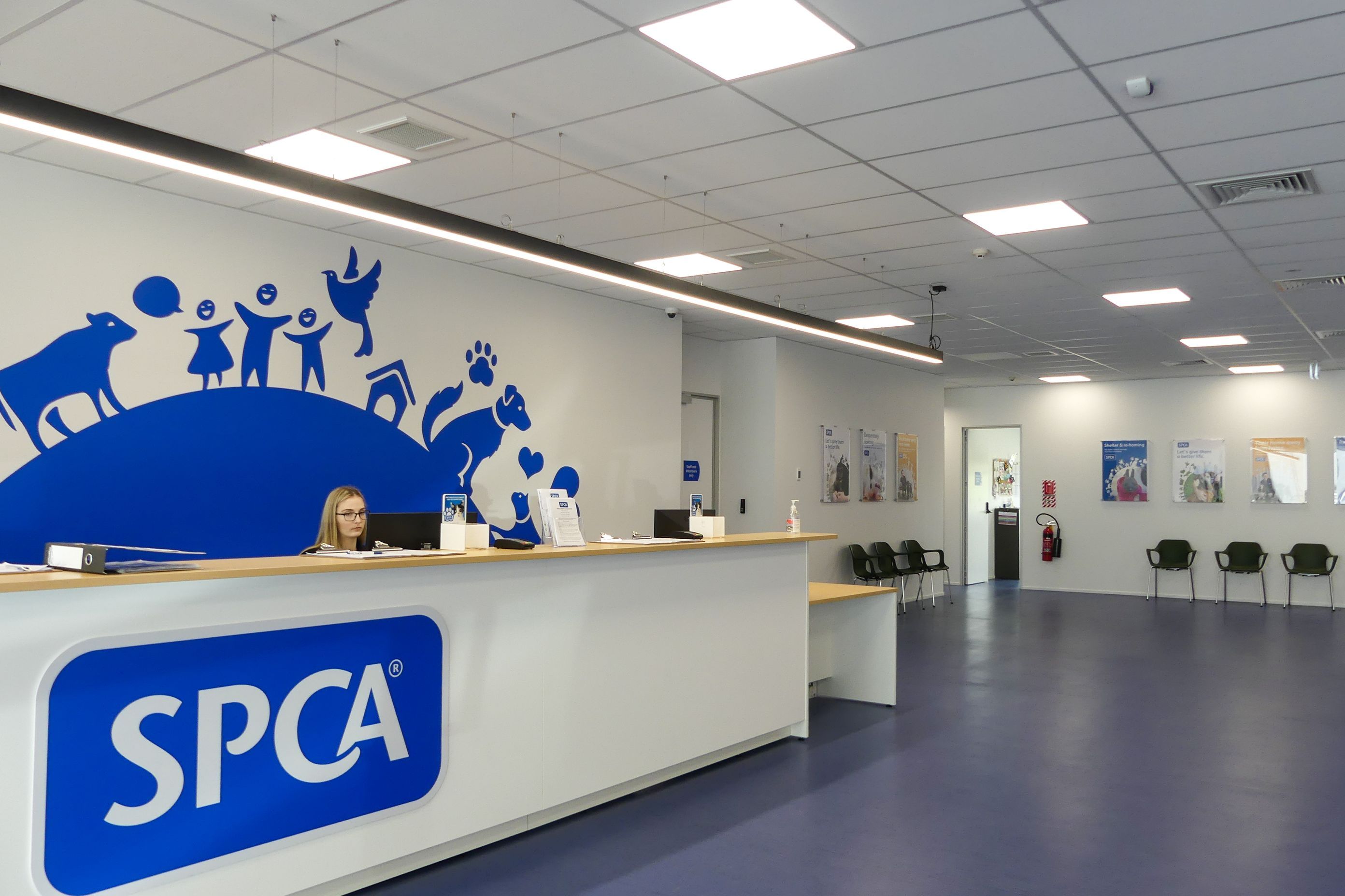 SPCA & Doggy Daycare Hobsonville