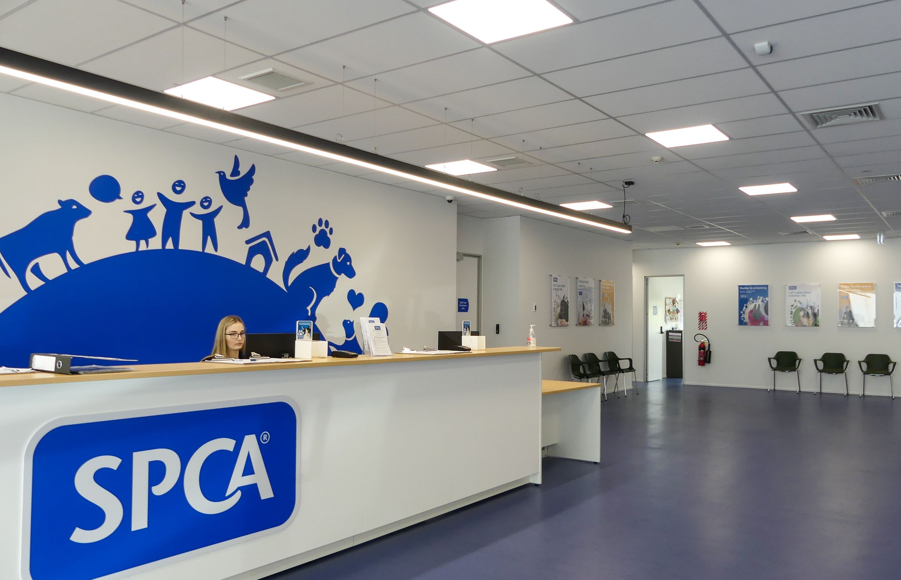 SPCA &amp; Doggy Daycare Hobsonville