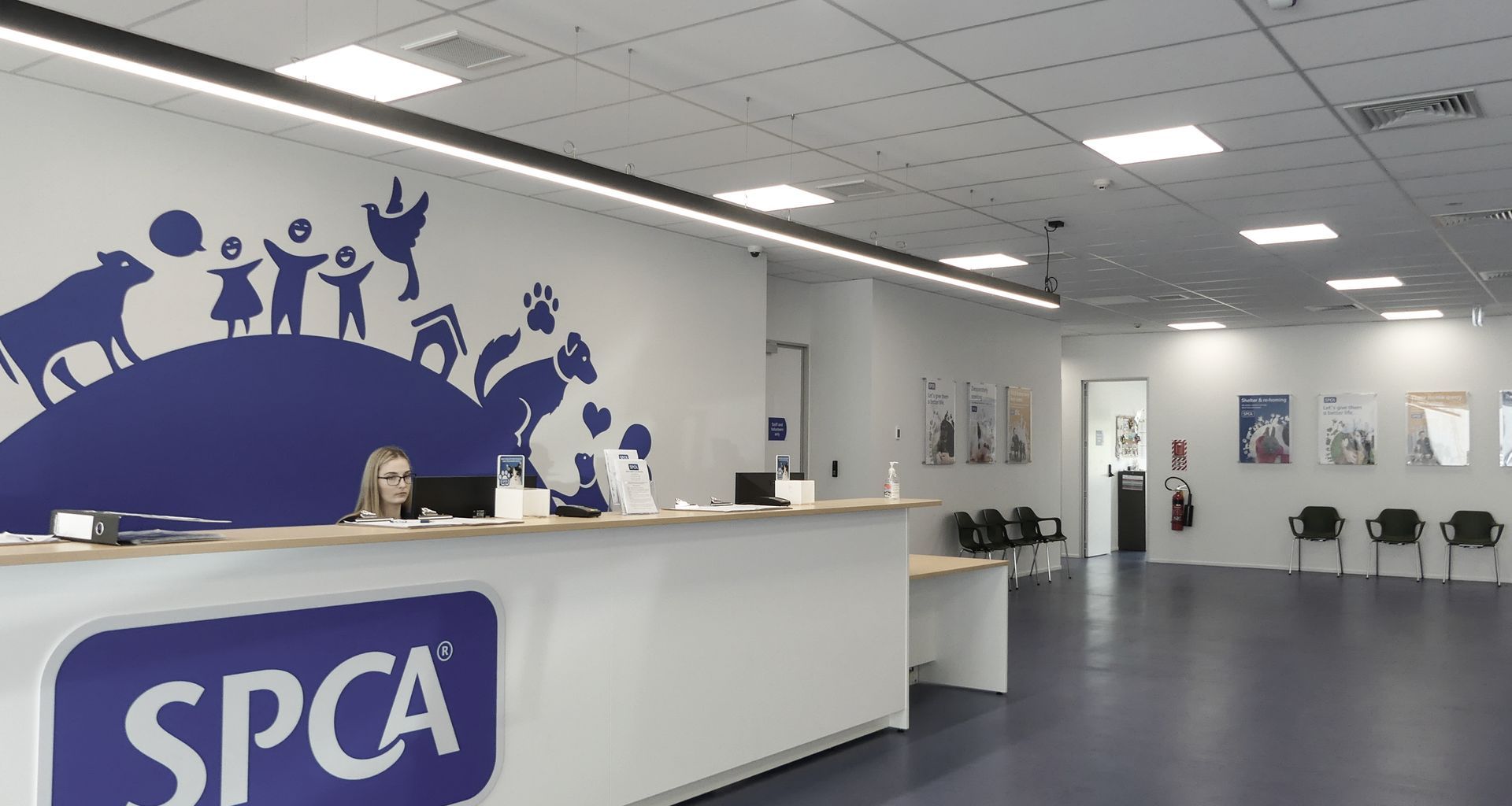 SPCA & Doggy Daycare Hobsonville banner