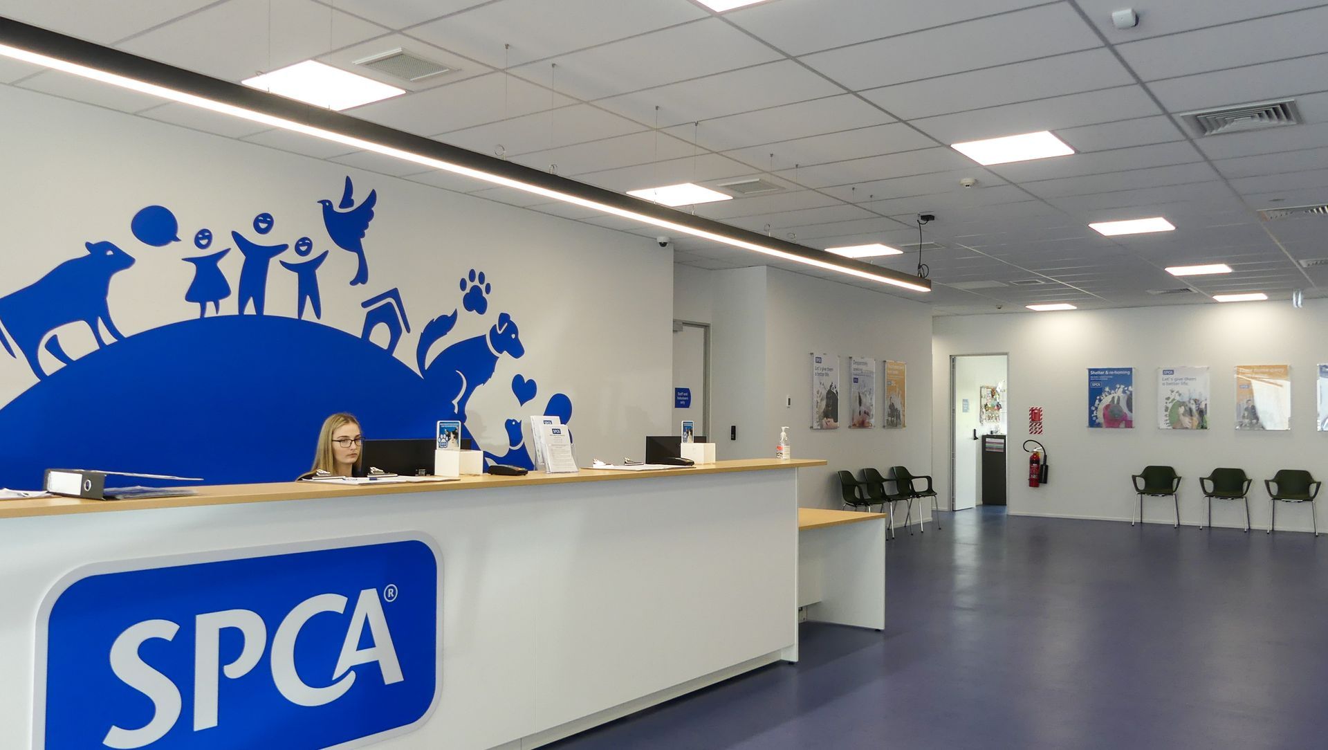 SPCA & Doggy Daycare Hobsonville banner