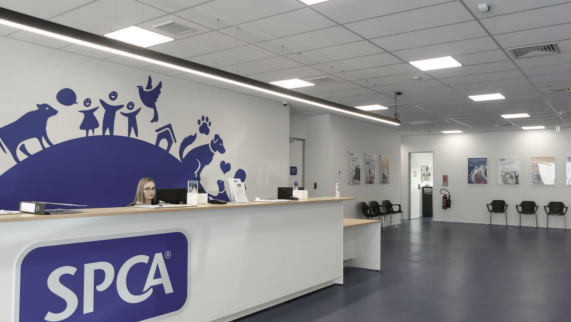 SPCA & Doggy Daycare Hobsonville banner