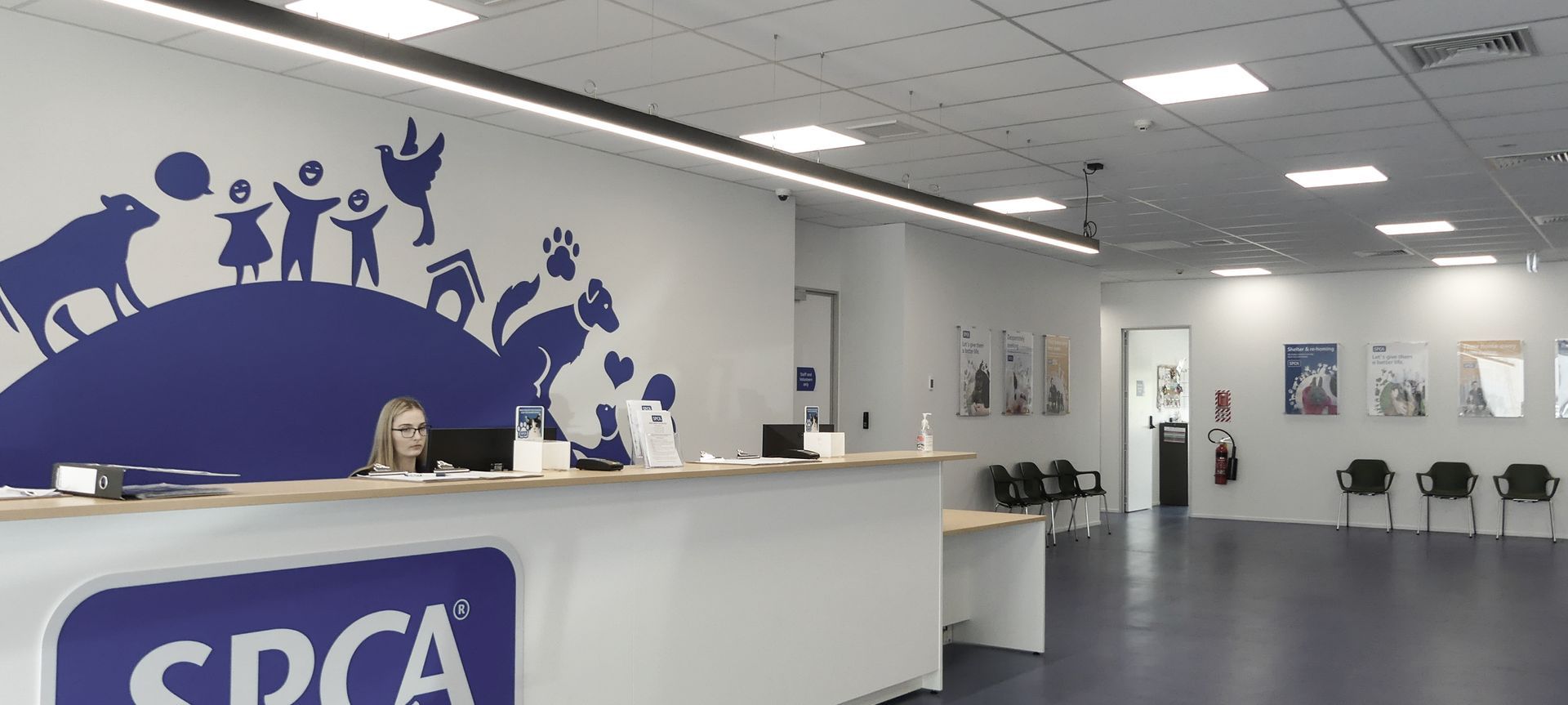 SPCA & Doggy Daycare Hobsonville banner