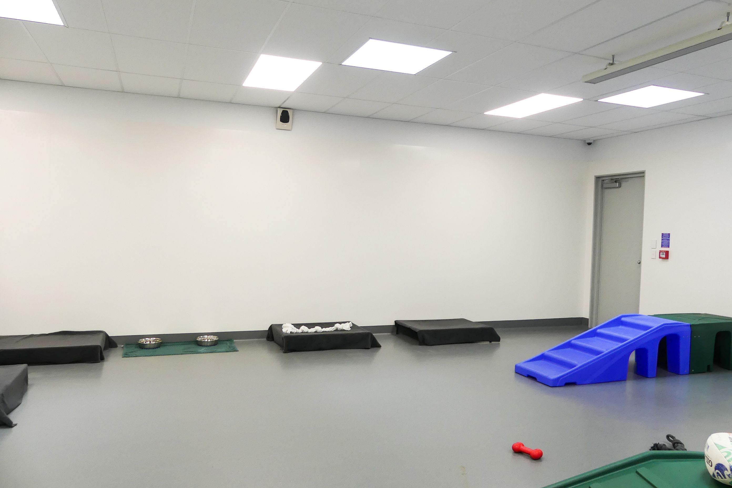 SPCA & Doggy Daycare Hobsonville