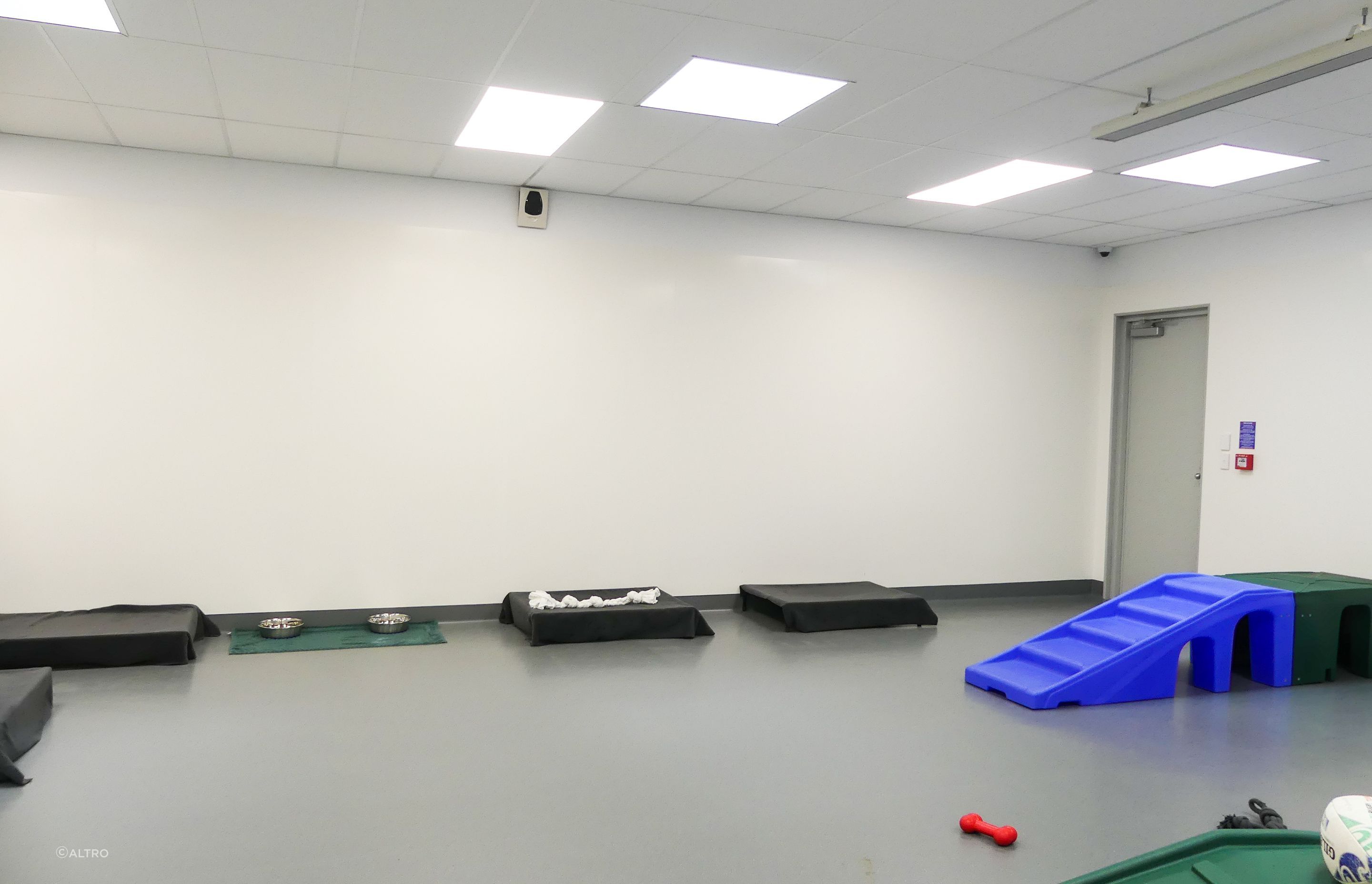 SPCA &amp; Doggy Daycare Hobsonville