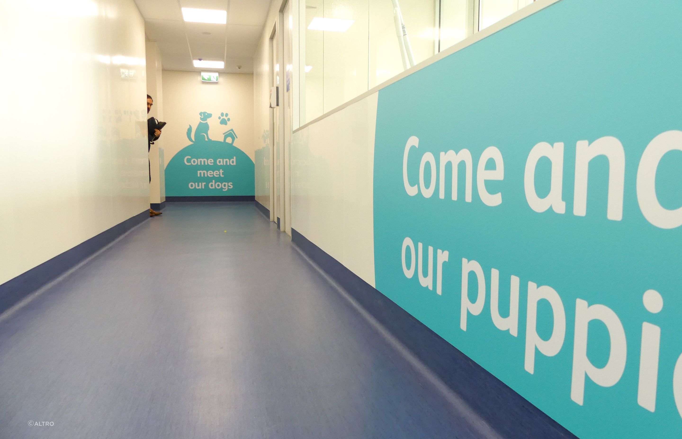 SPCA &amp; Doggy Daycare Hobsonville
