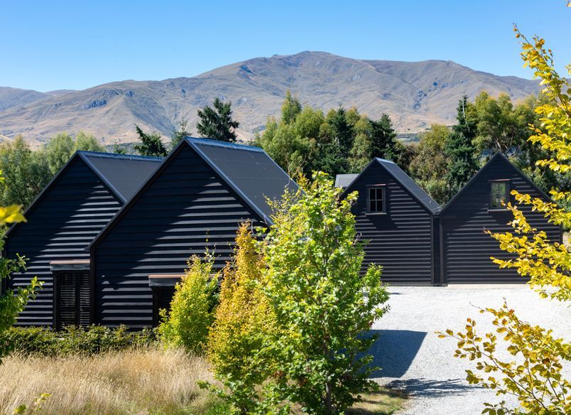 Bendemeer Black Beauty