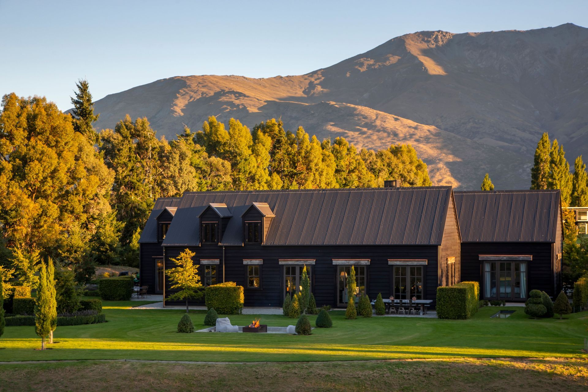 Bendemeer Black Beauty