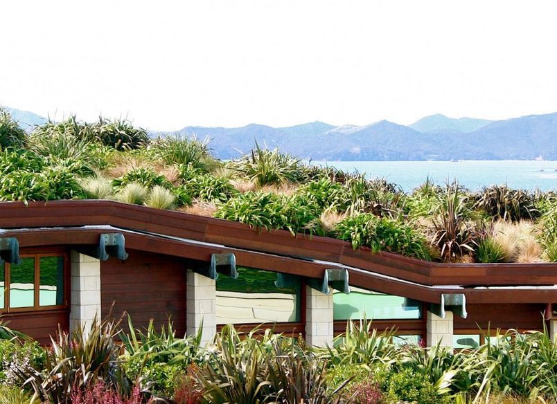 Living House