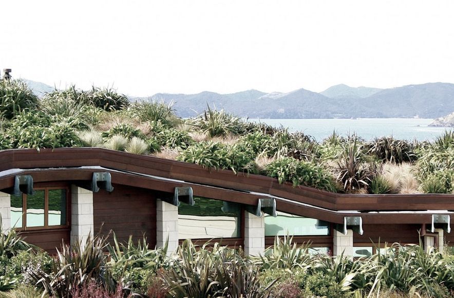 Living House