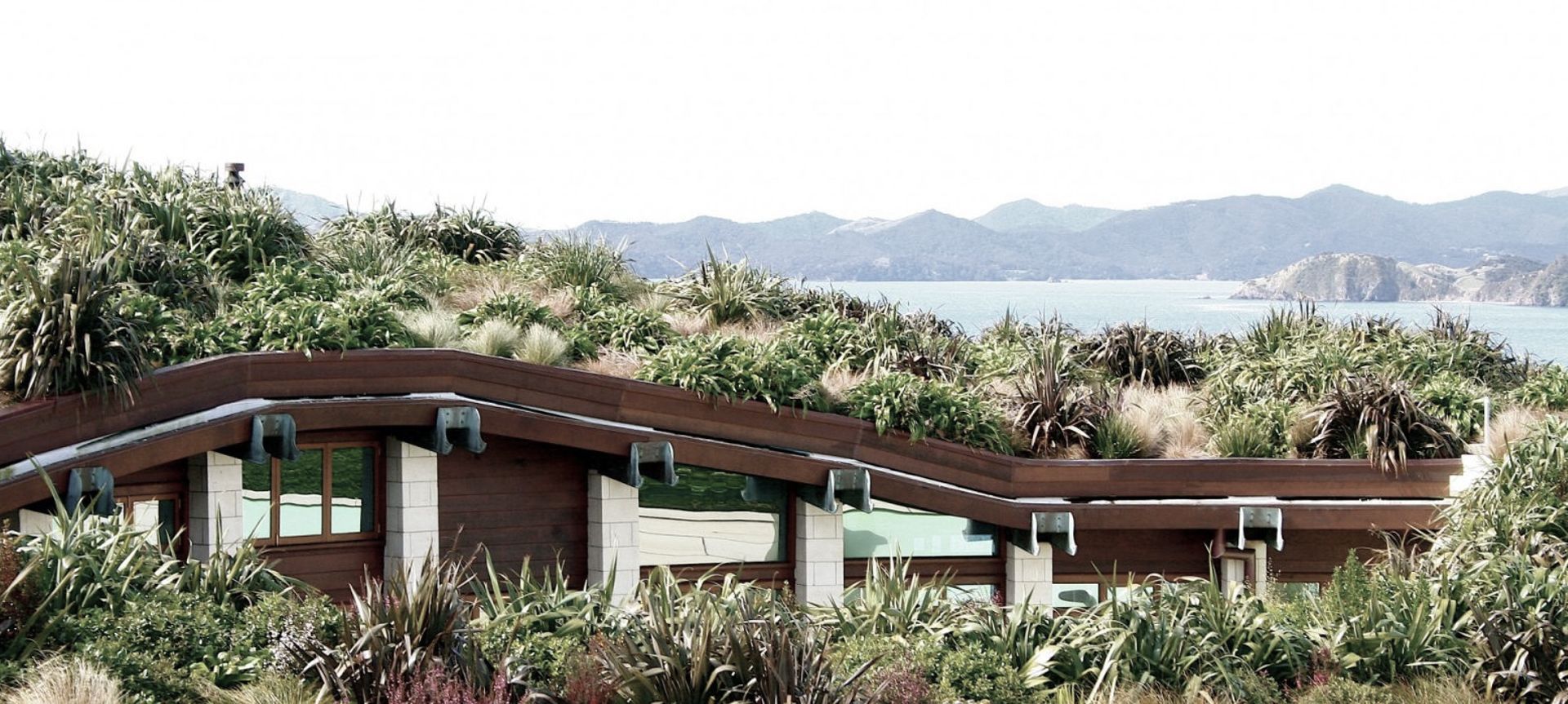 Living House banner