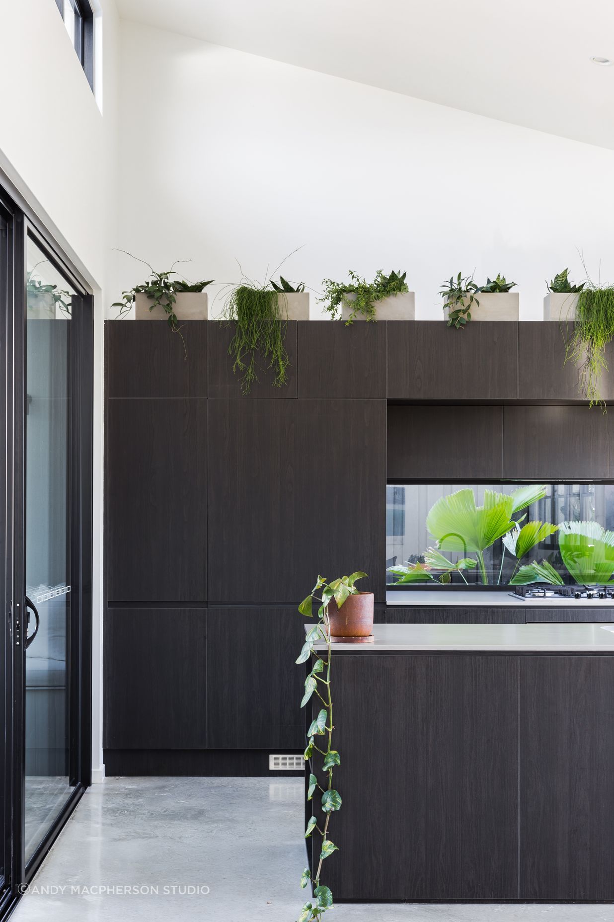 Suncatcher House
