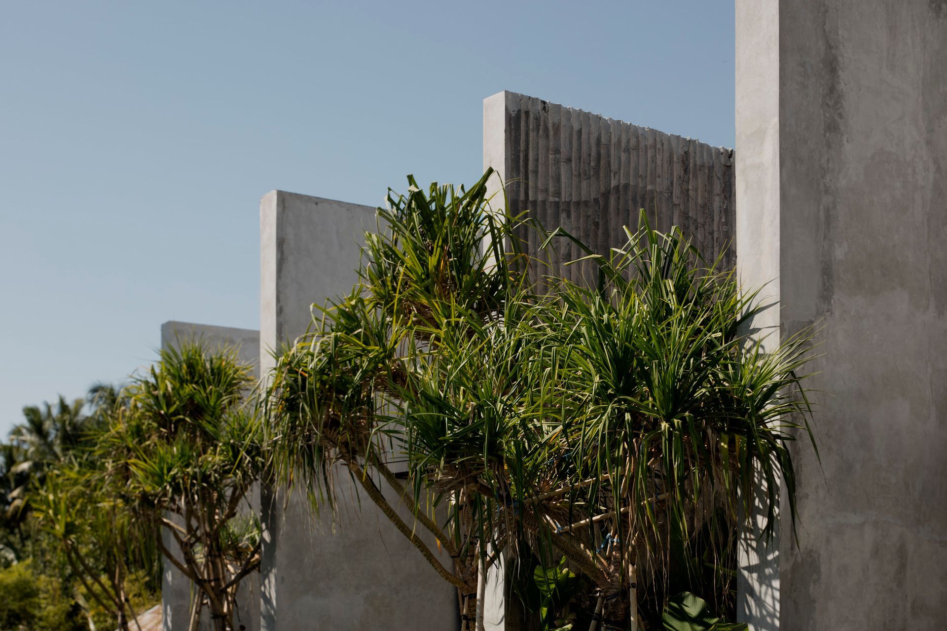 Photography: Ben Hosking