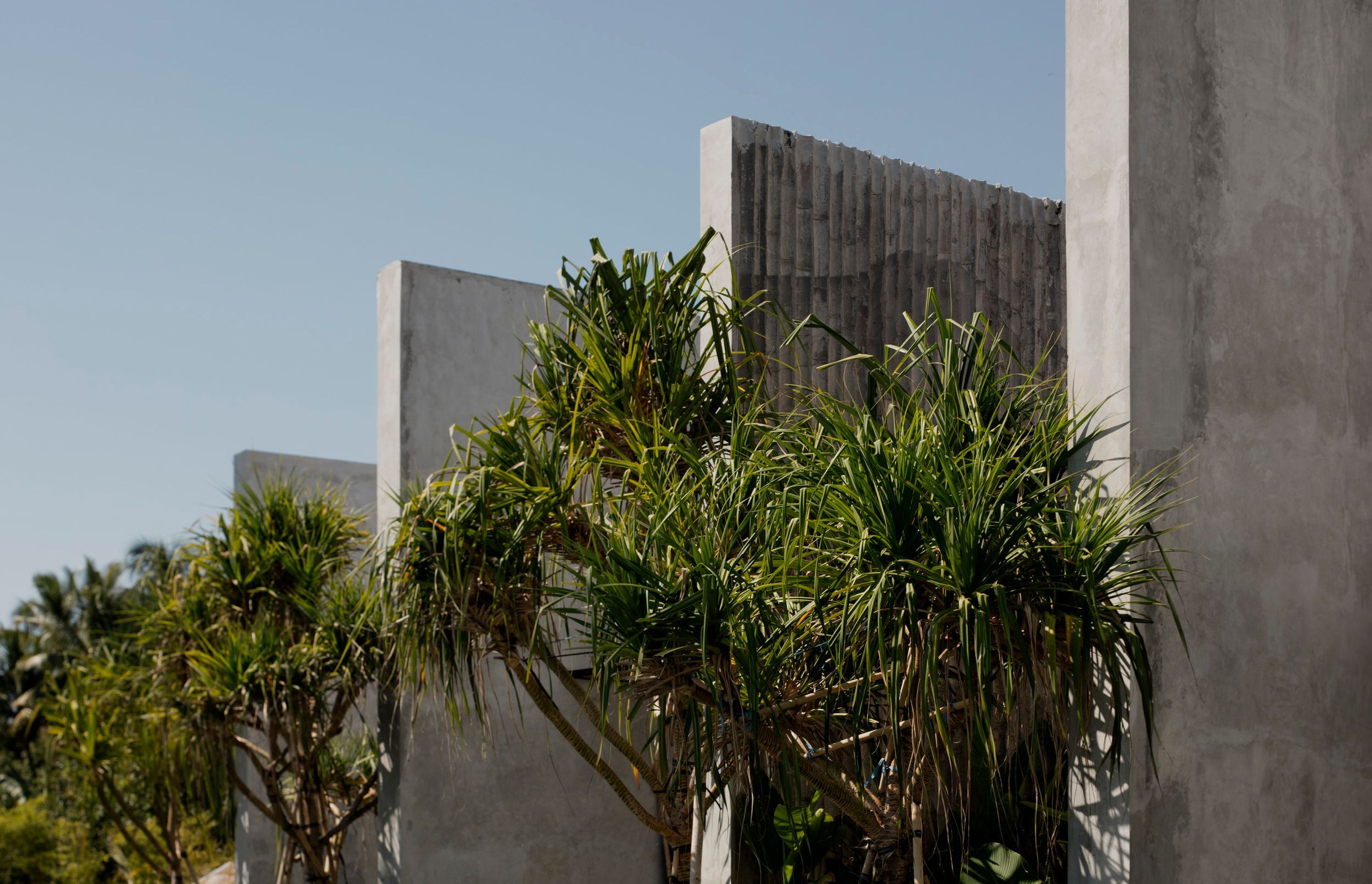 Photography: Ben Hosking