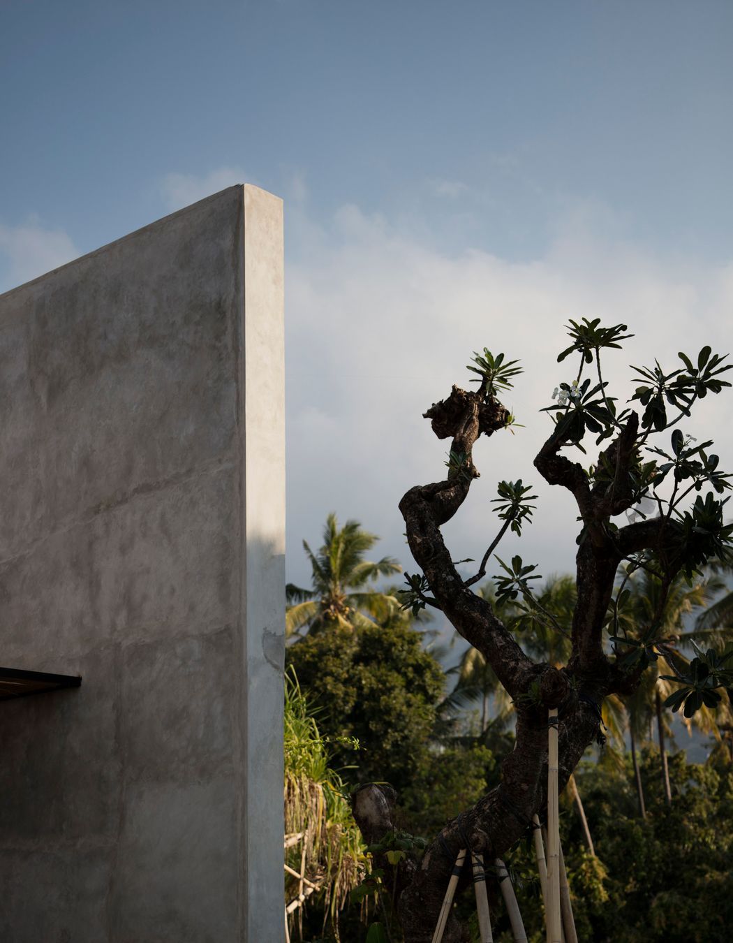 Photography: Ben Hosking