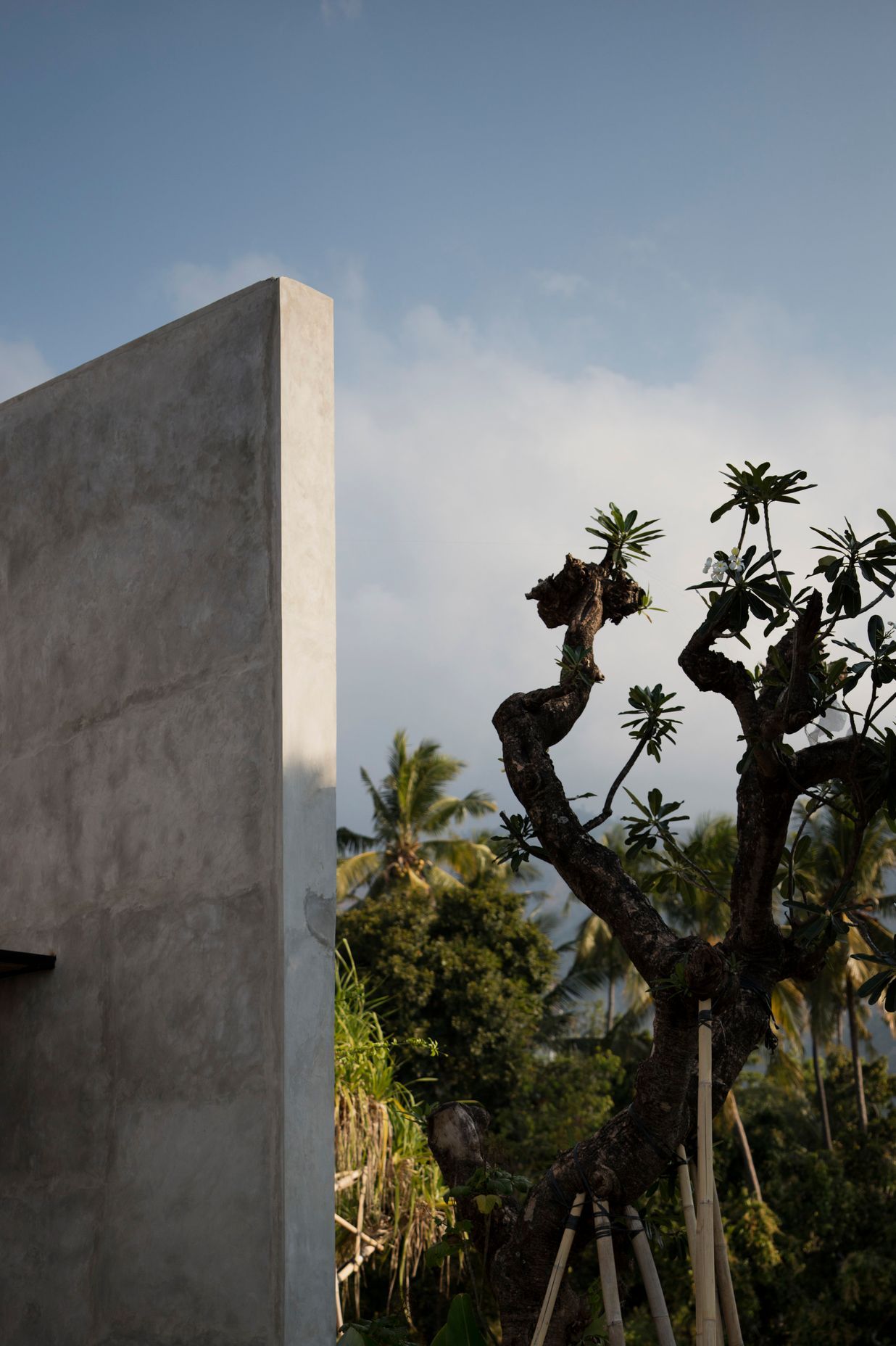 Photography: Ben Hosking