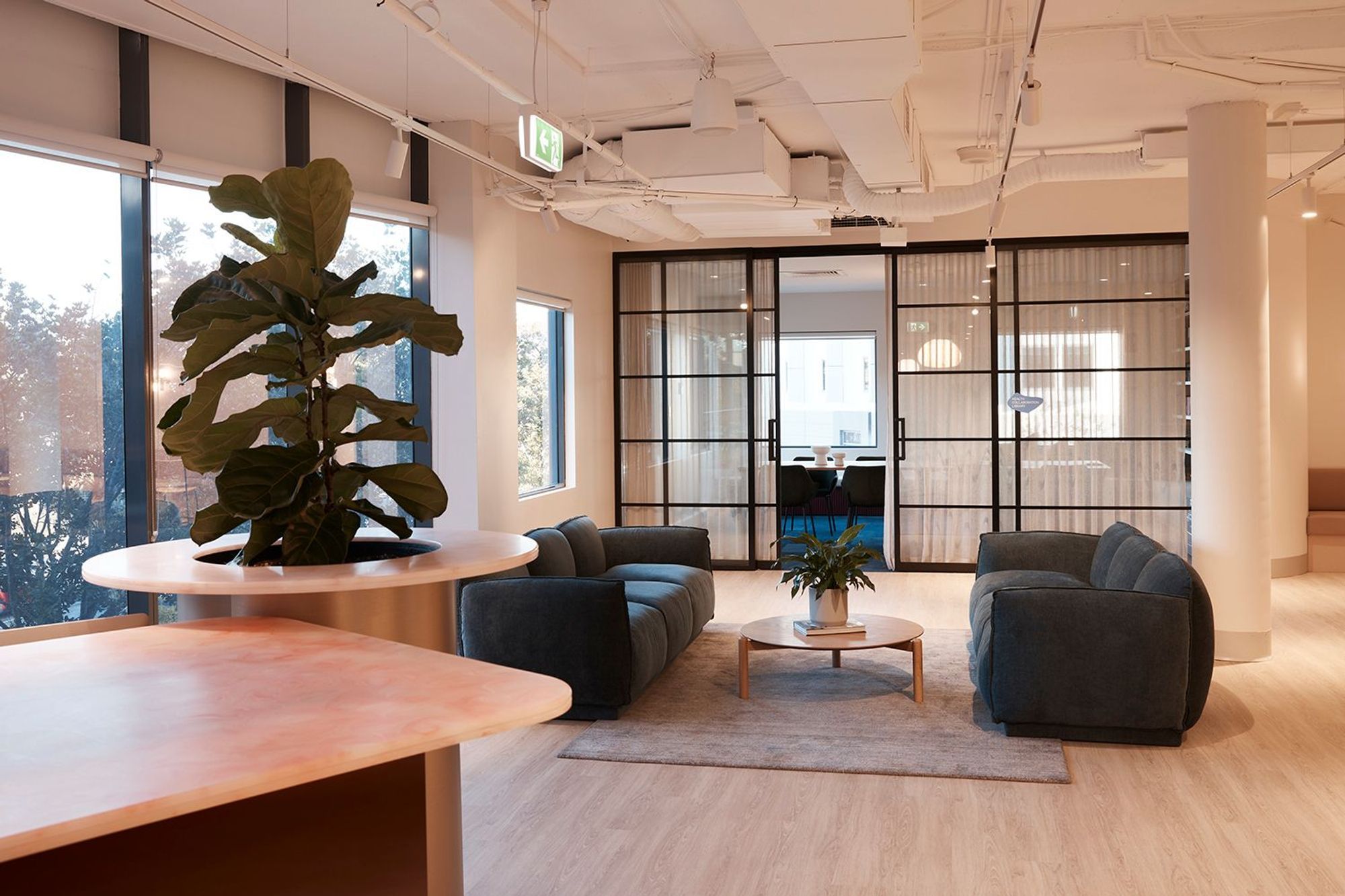 Brellah & Movement HQ