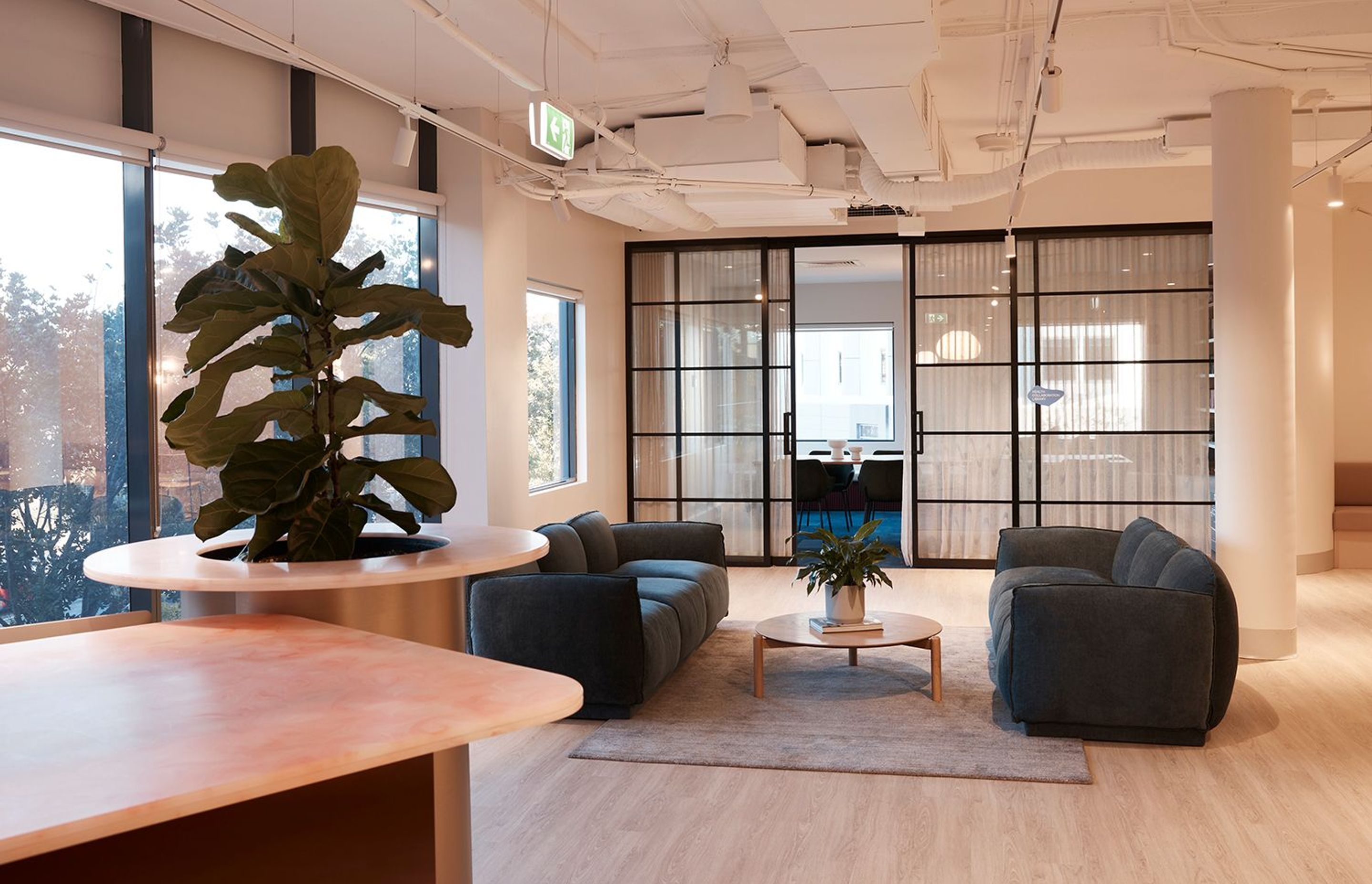 Brellah & Movement HQ